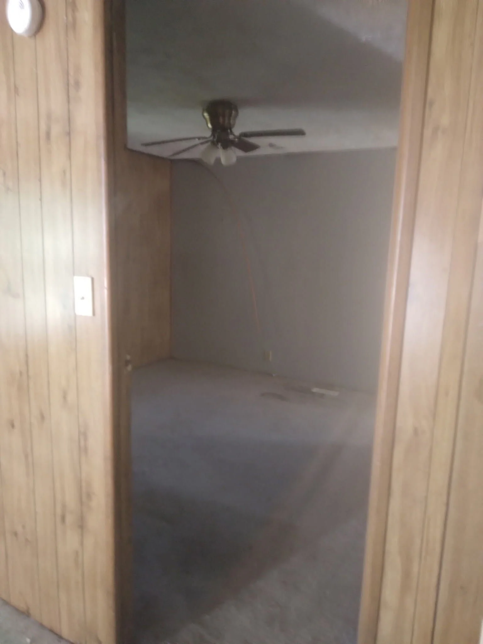 IMG_20260927_210413.jpg