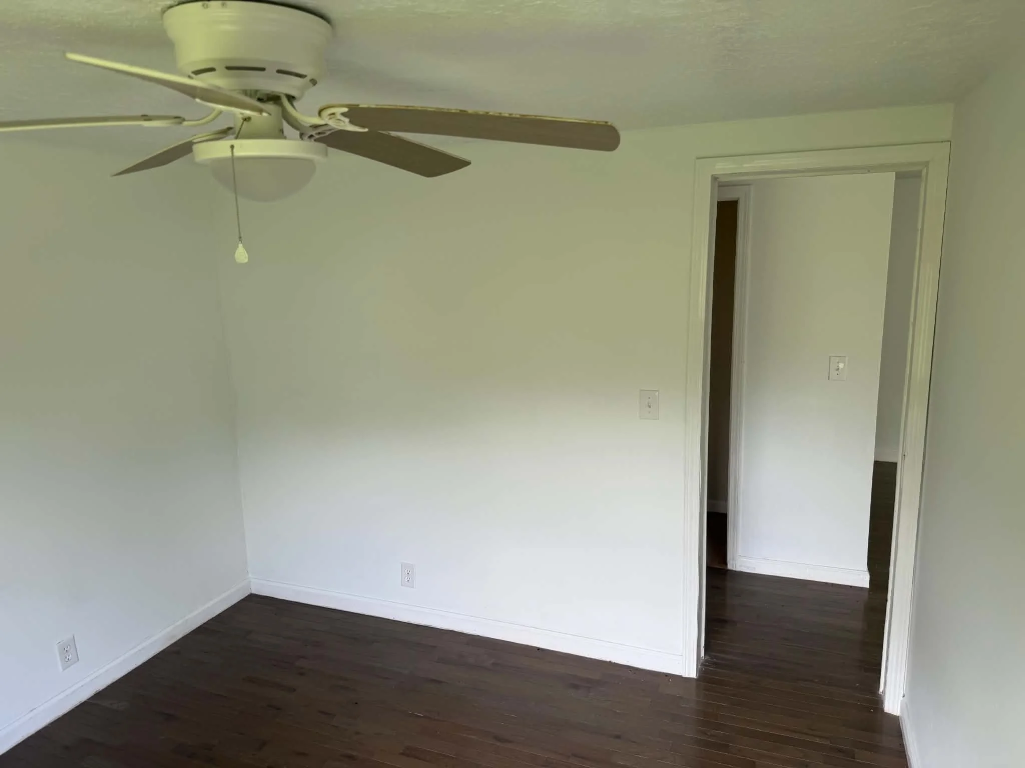 11 (1).jpg