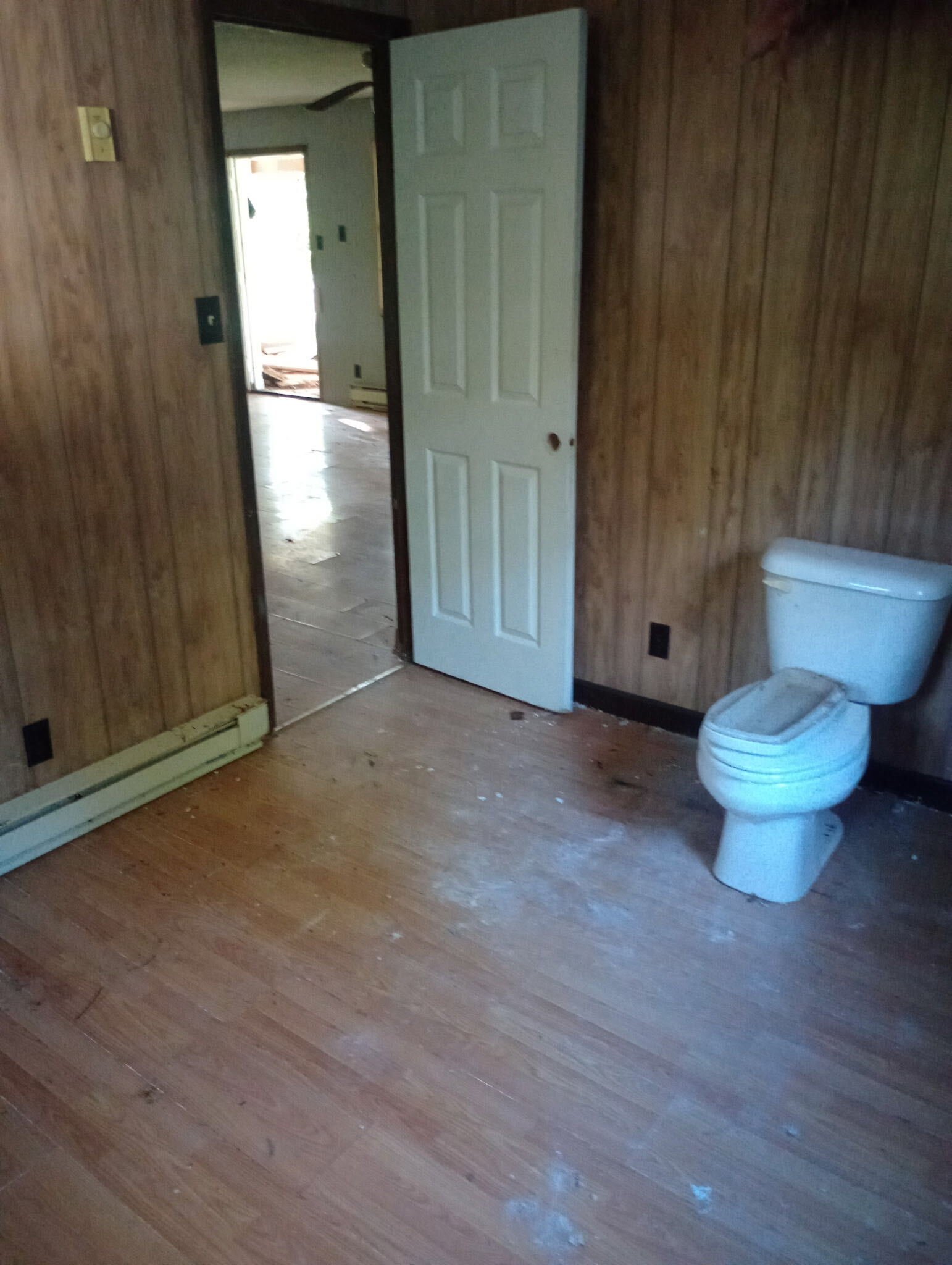 IMG_20260915_174215507_HDR.jpg