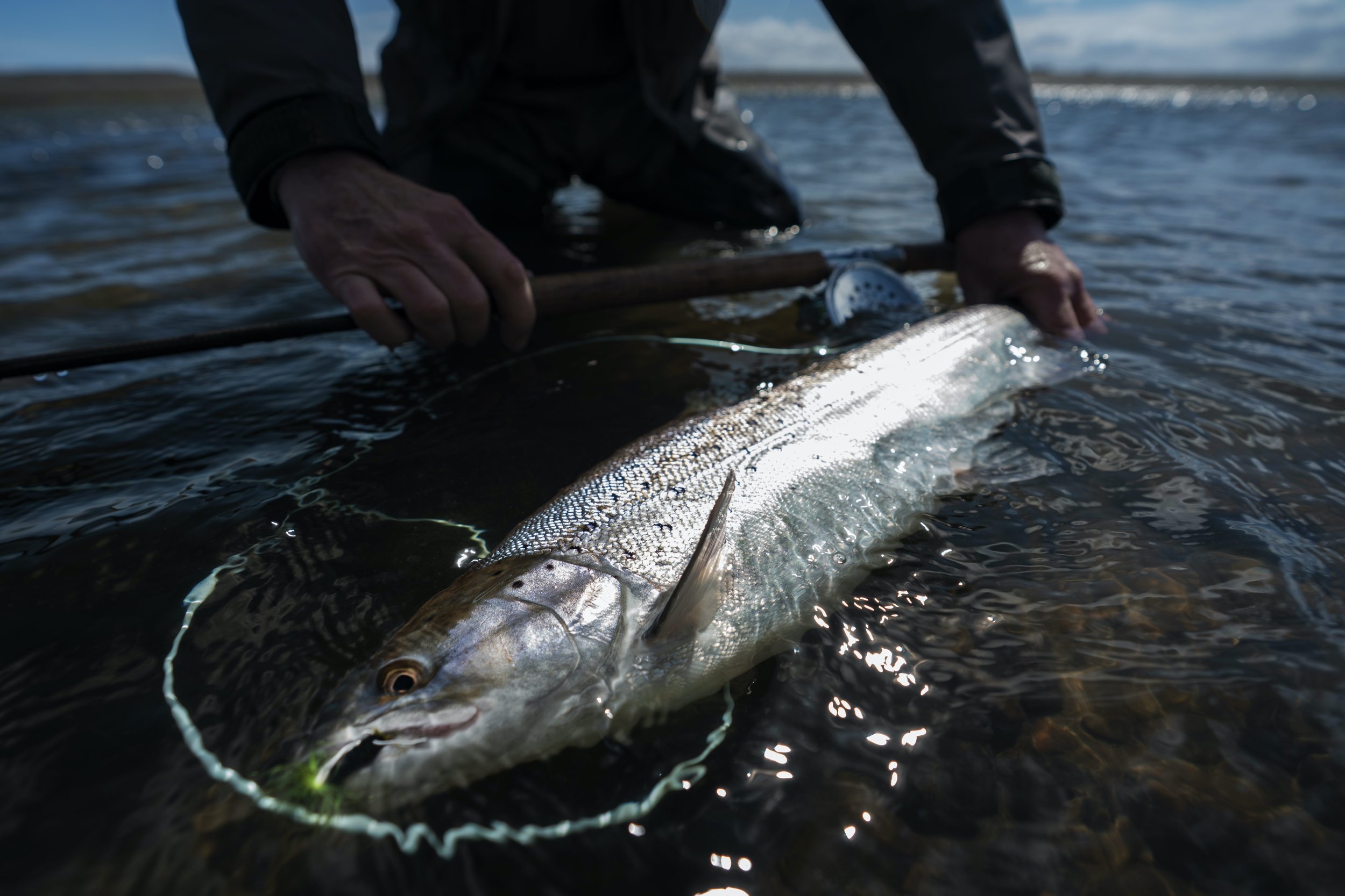 Estancia El Rincon, Sea Trout Fishing - Rio Gallegos. — Salmon Junkies