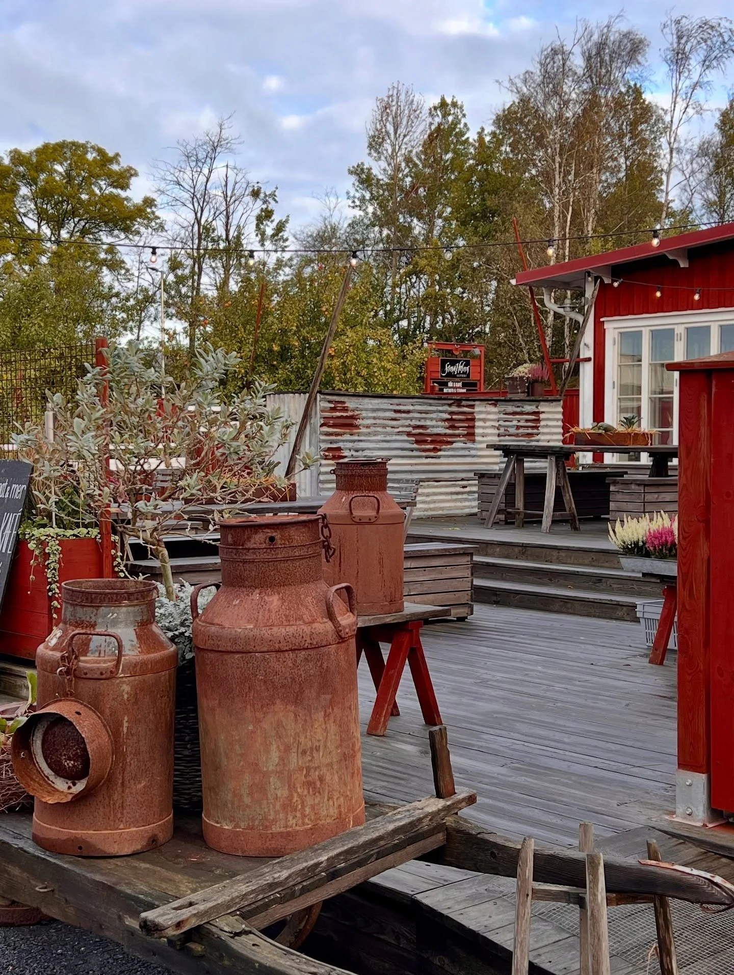 🍁 H&ouml;sten har kommit till g&aring;rden 🍂

L&ouml;ven gl&ouml;der i r&ouml;tt, gult och orange, och luften &auml;r s&aring;d&auml;r krispigt klar som bara h&ouml;stdagar kan vara. Vi njuter av f&auml;rgerna ute &ndash; och kurar sedan inomhus me