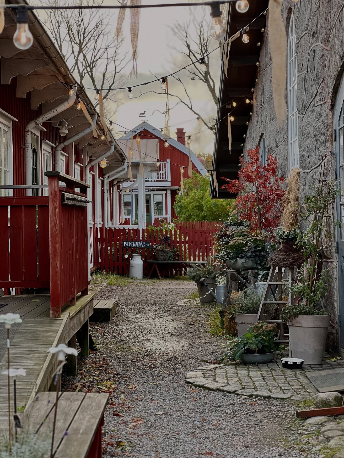 Vi vaknar upp till en ljuvlig höstmorgon på gården.
Solen är på väg upp över taken, dimman lättar och naturen glöder i varma färger. I restaurangen förbereds dagens lunch och snart sprider si