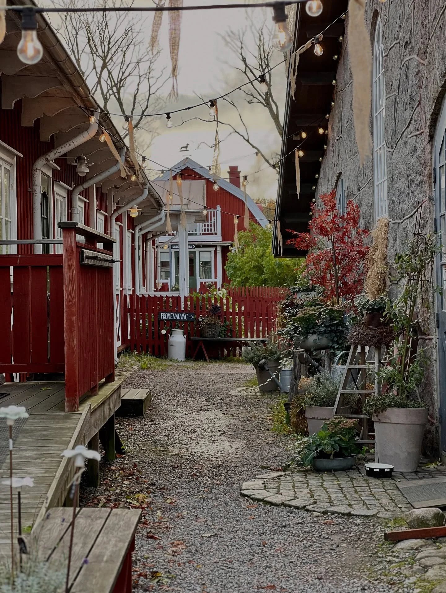 Vi vaknar upp till en ljuvlig höstmorgon på gården.
Solen är på väg upp över taken, dimman lättar och naturen glöder i varma färger. I restaurangen förbereds dagens lunch och snart sprider si