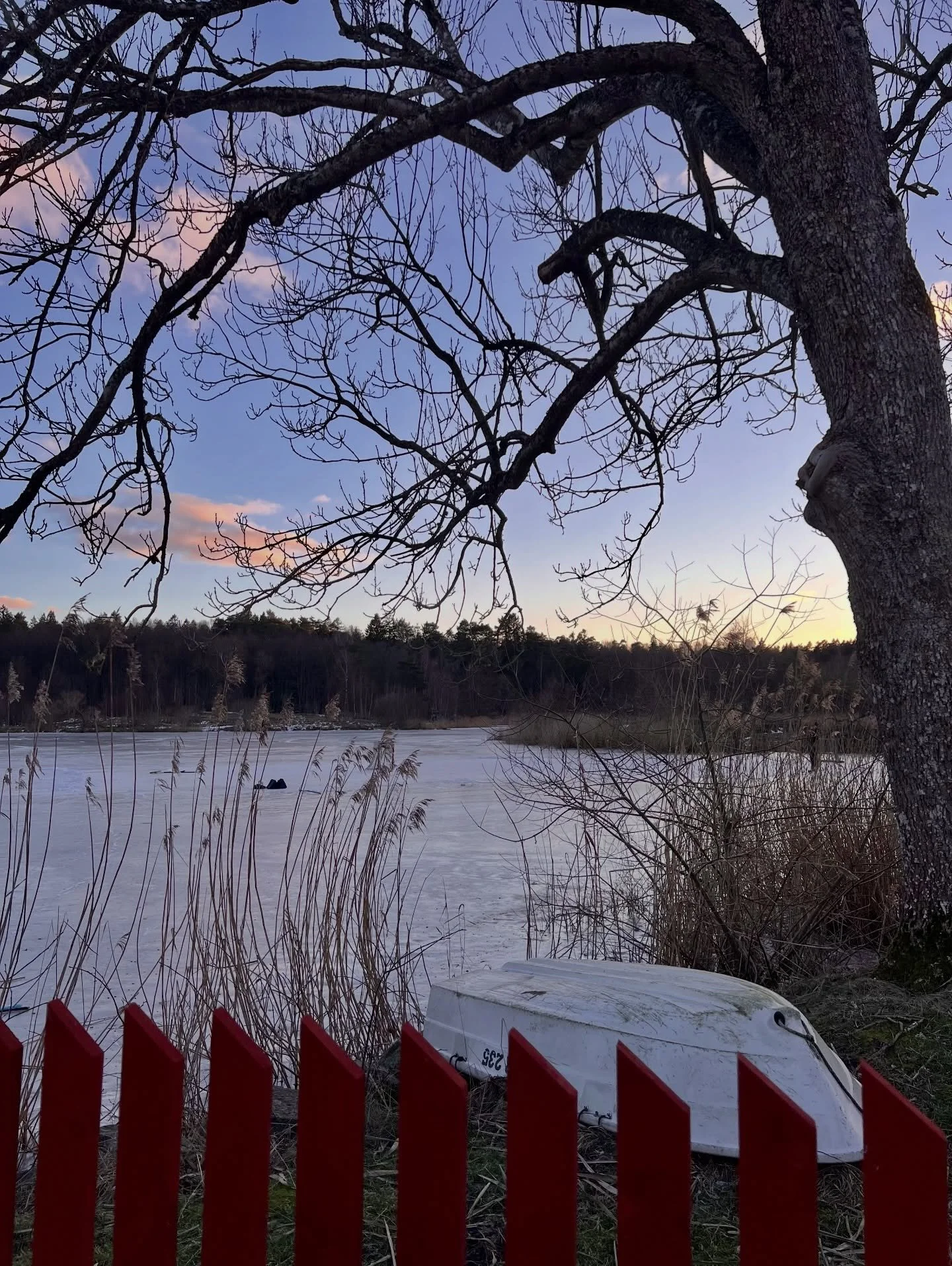 &Auml;ntligen &auml;r isen p&aring; g&aring;rdens damm tillbaka &ndash; och den &auml;r riktigt fin! 

F&ouml;r n&aring;gra veckor sedan s&aring;g det helt annorlunda ut &ndash; sn&ouml;n l&aring;g djup och h&auml;r fick skottas och spolas i evighete
