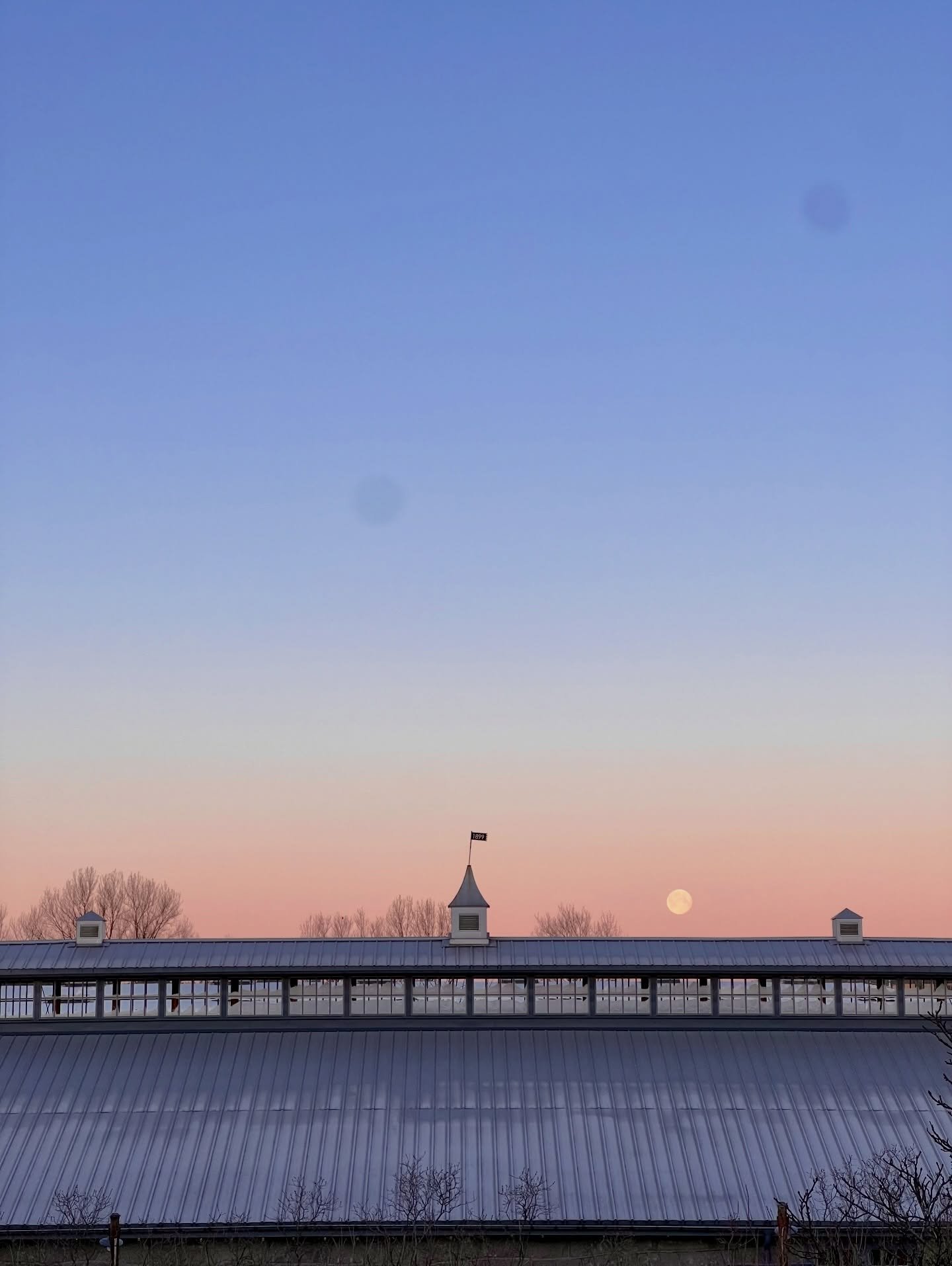 Har ni t&auml;nkt p&aring; ljuset ute h&ouml;rni?  L&auml;ngre eftermiddagar, f&aring;gels&aring;ng i luften och en k&auml;nsla av nystart. Vi &auml;lskar det &ndash; och det g&ouml;r f&aring;glarna ocks&aring;.

&Auml;nnu mer p&aring; pluskontot: V&