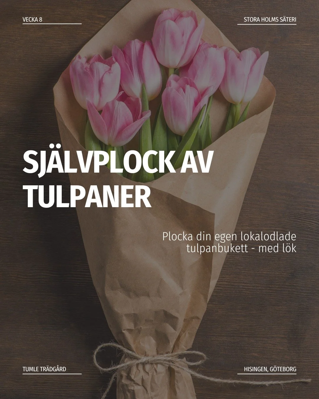 Premi&auml;r f&ouml;r sj&auml;lvplock av tulpaner! 

I dag kom &auml;ntligen &aring;rets f&ouml;rsta leverans av tulpaner &ndash; och vilka tulpaner sen! 

De &auml;r odlade med omsorg av de fantastiska eleverna p&aring; den anpassade gymnasieskolan 