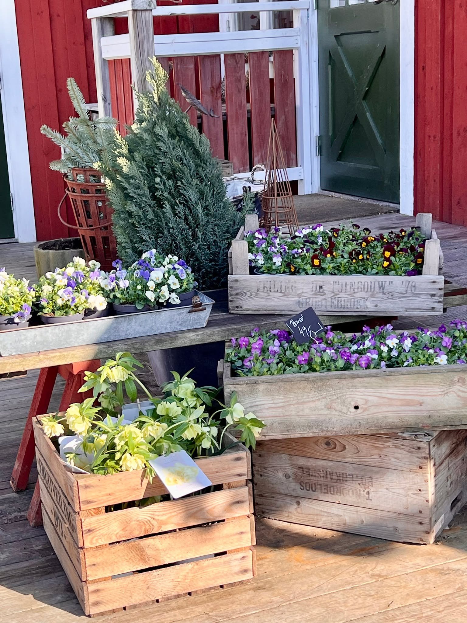 Nu &auml;r vi &auml;ntligen d&auml;r &ndash; utes&auml;songen drar ig&aring;ng! 

I dag har v&aring;ra g&auml;ster suttit ute p&aring; altanen i solskenet och njutit av b&aring;de mat och fika i det fina v&auml;dret.

&Aring;rets f&ouml;rsta pens&eac