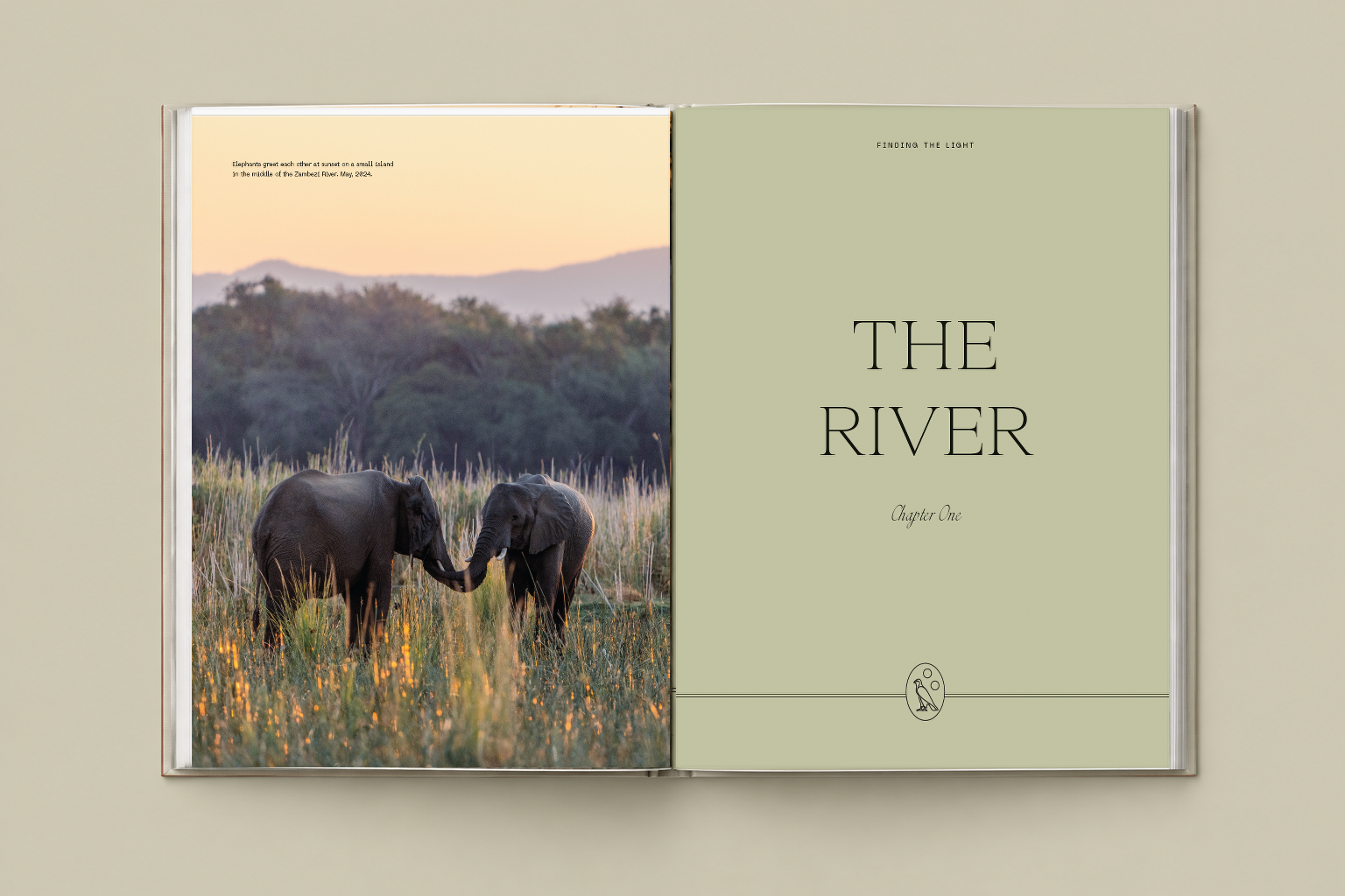 Finding_The_Light_River_Chapter_Opener_Approved_Mockup.png