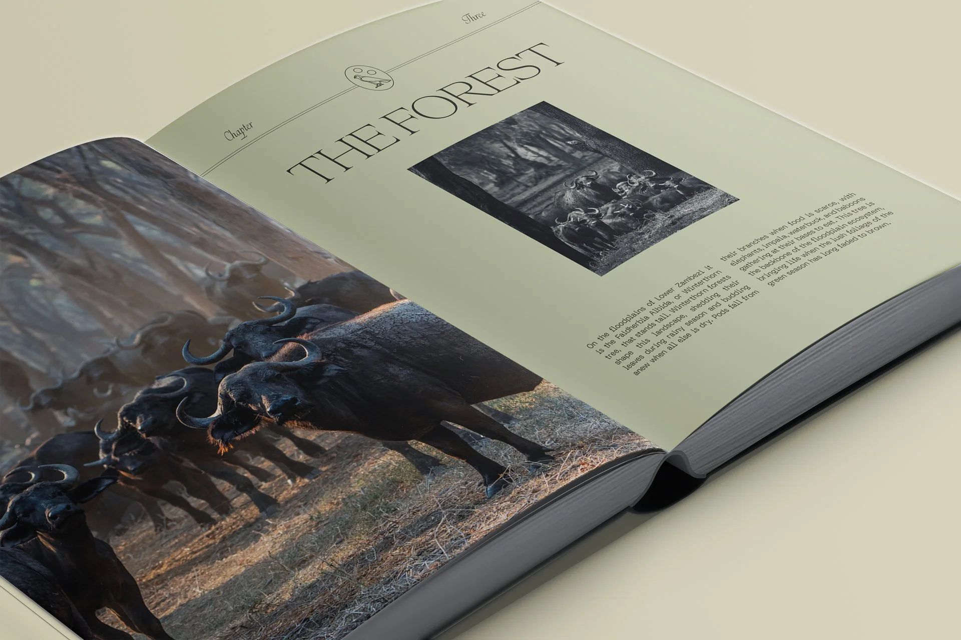 01_Chapter Page_Mockup.jpg