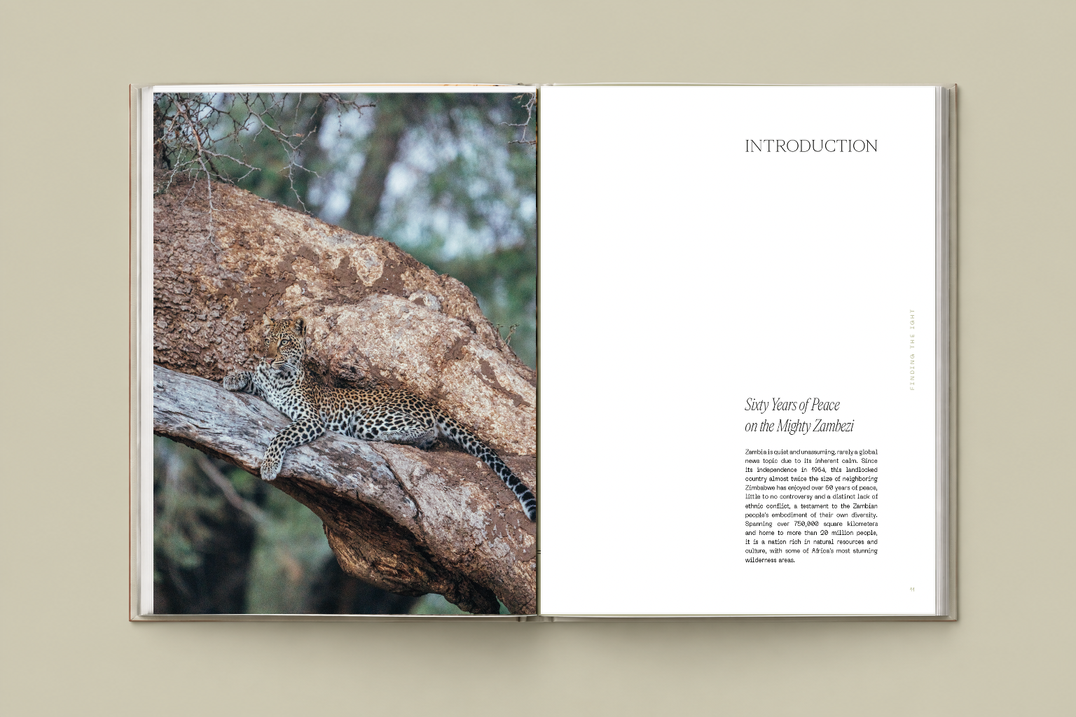 Finding_The_Light_Introduction_Approved_Mockup.png