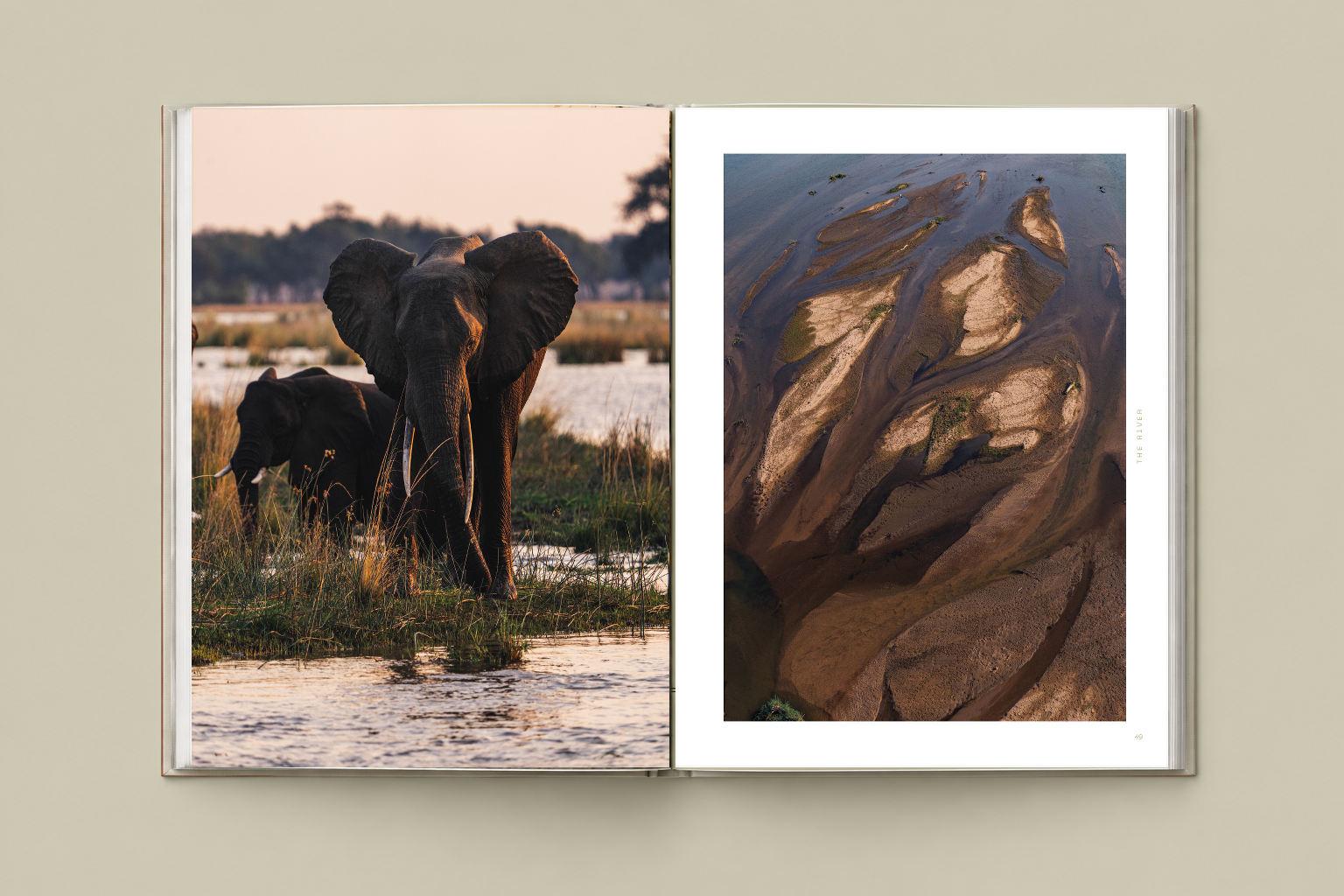 Finding_The_Light_River_Elephant_Aerial_Approved_Mockup.png