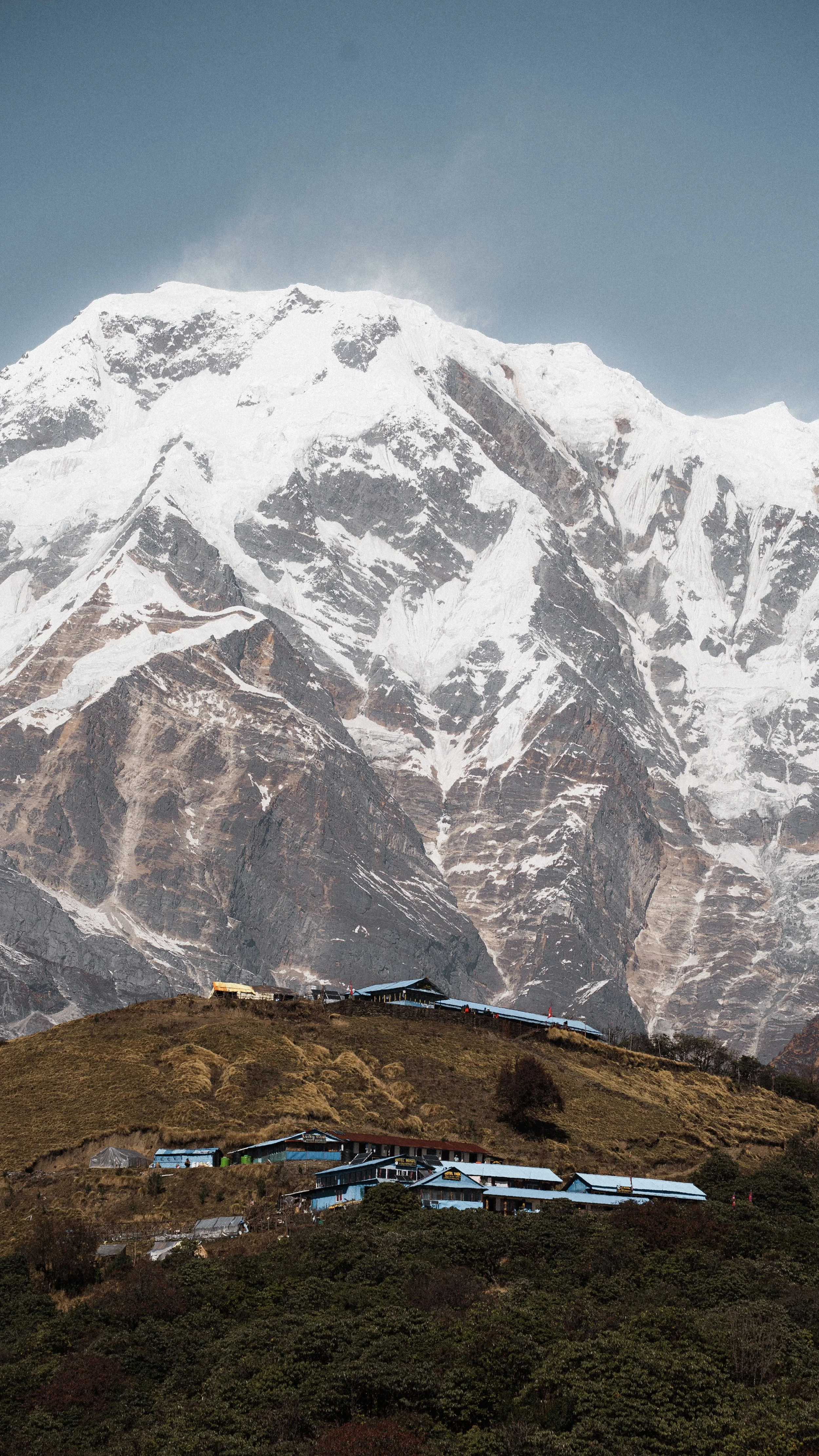 DSC00253.jpg