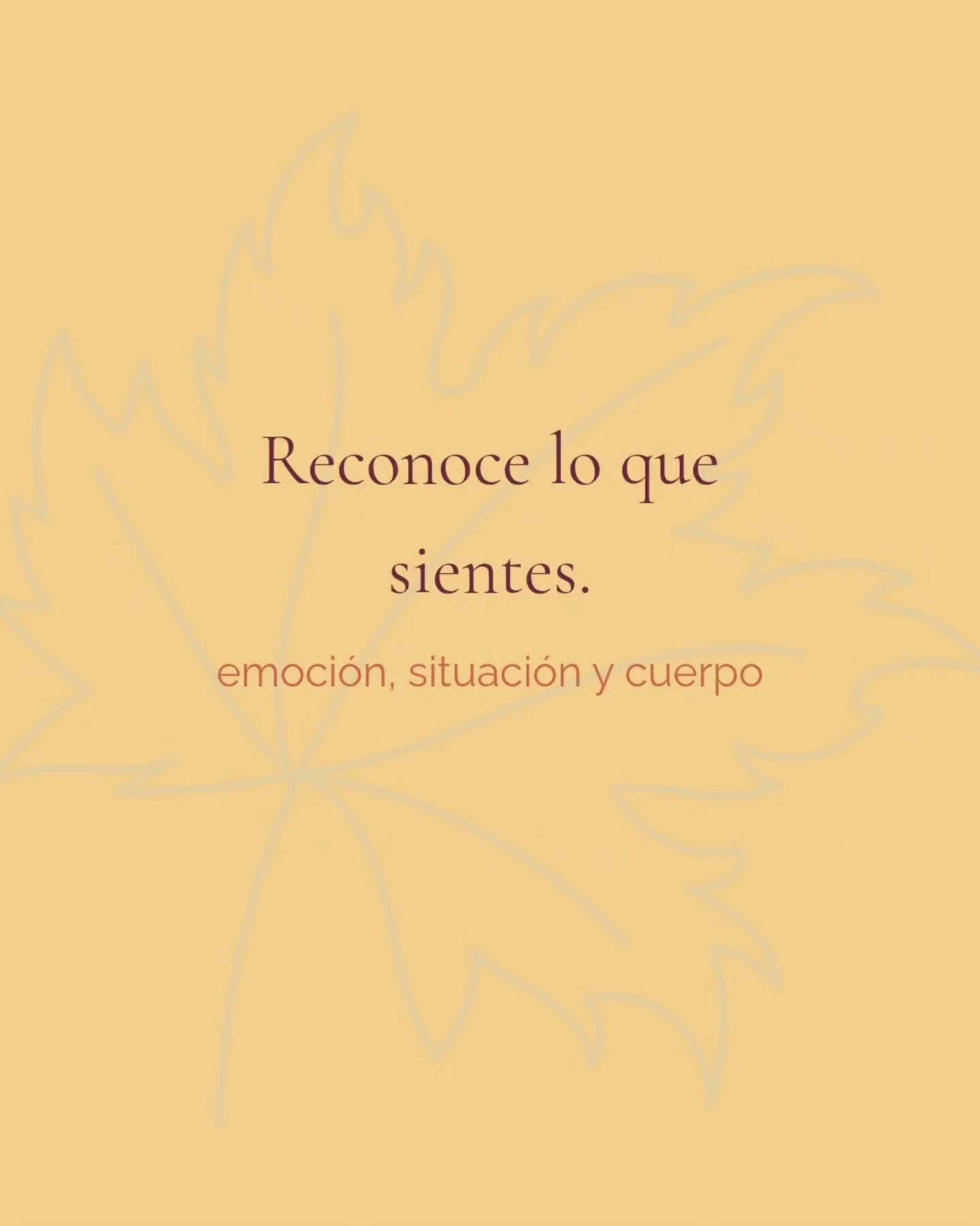 Hoy quiero invitarte a un peque&ntilde;o ejercicio de consciencia: observar c&oacute;mo tus emociones se reflejan en tu cuerpo.

Muchas veces sentimos algo, pero no lo identificamos: &iquest;d&oacute;nde se nota? &iquest;qu&eacute; cambios provoca en