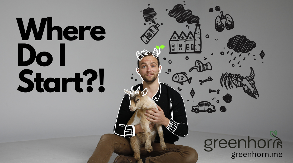 Greenhorn promo