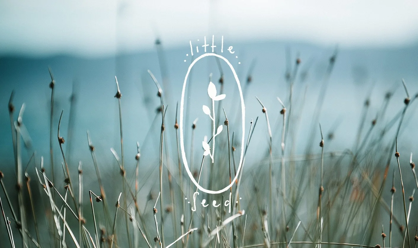 Little Seed Logo.jpg
