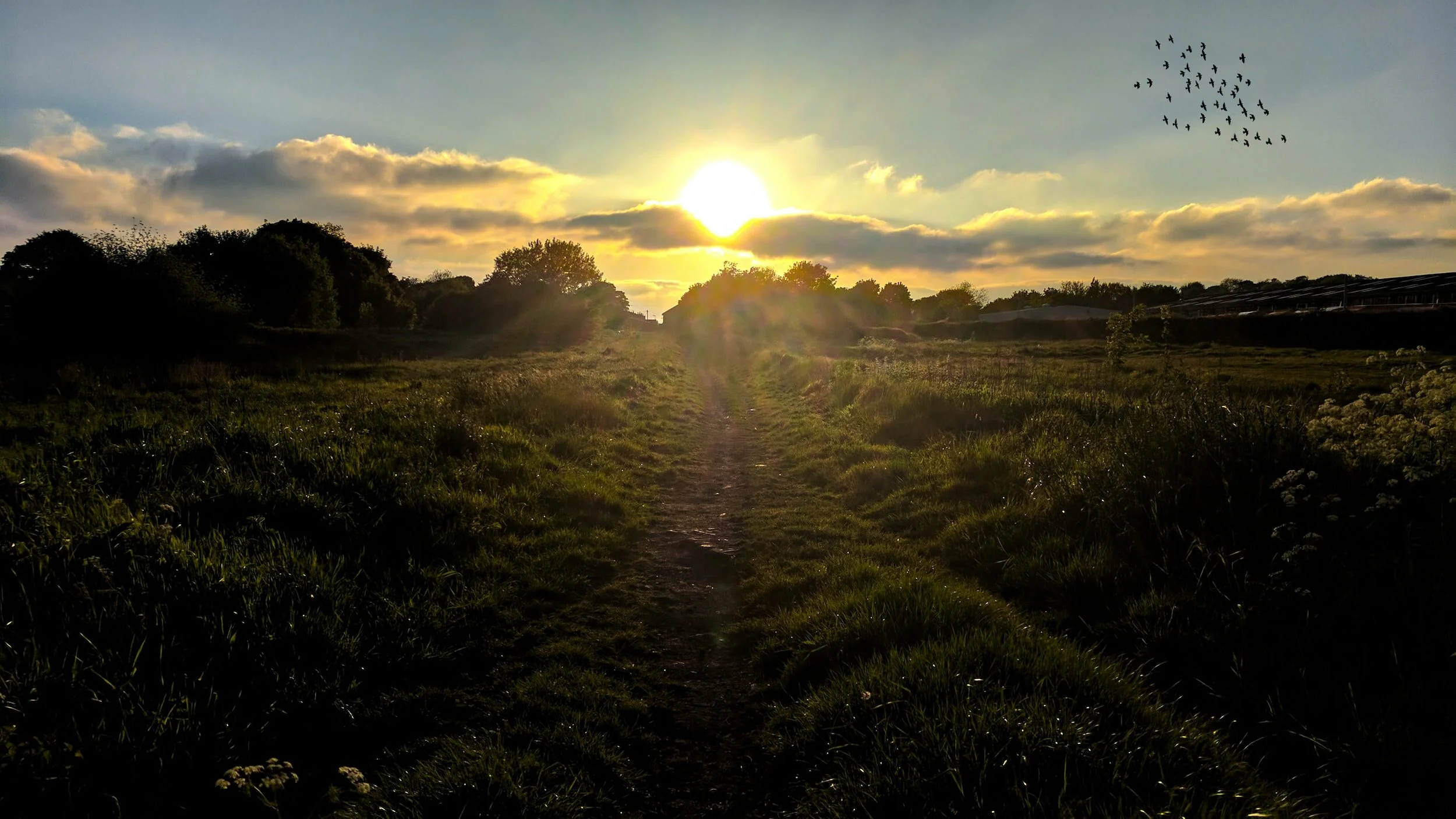 How a Bradford church met a Covid-related need