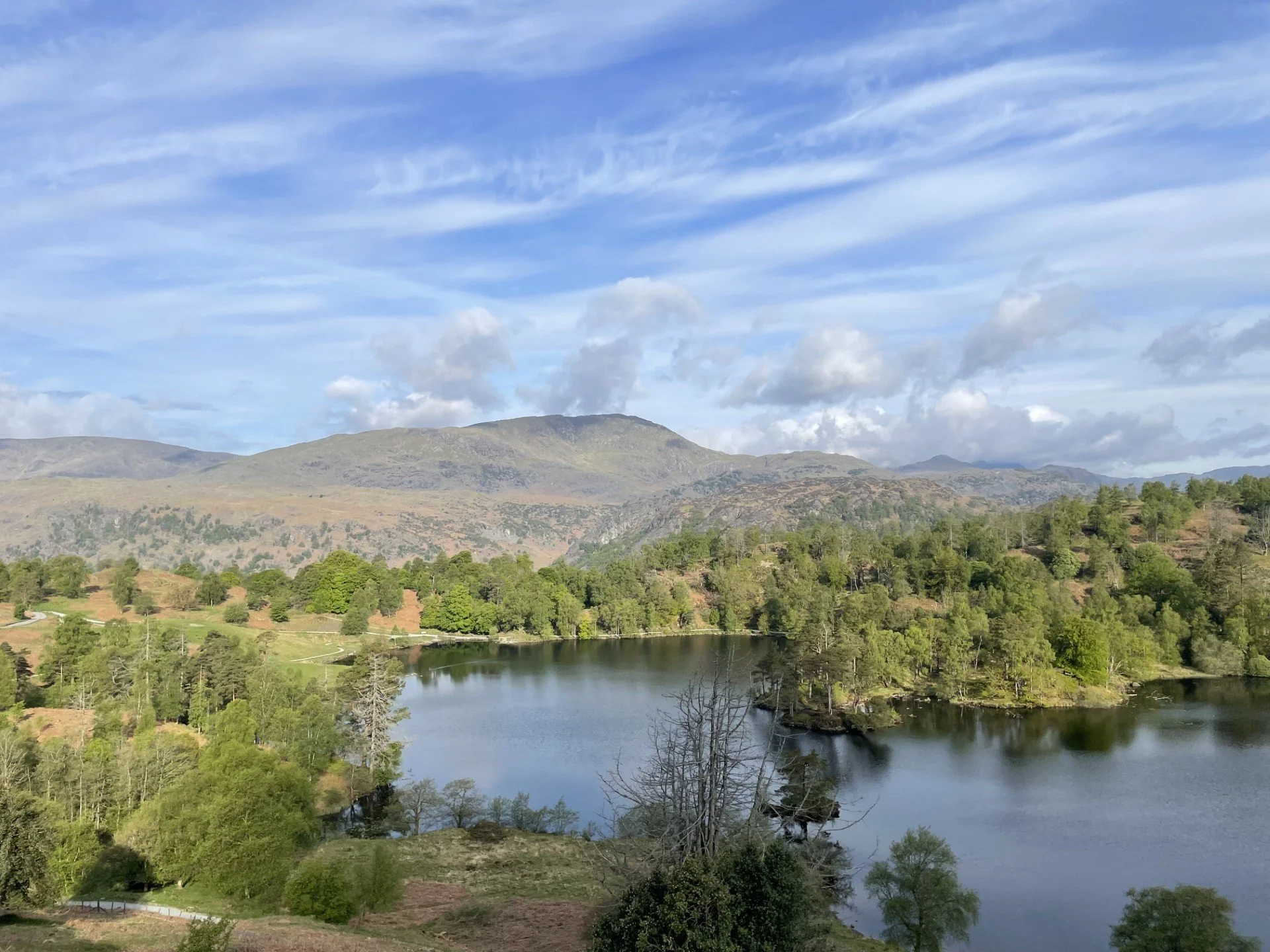 Tarn Hows 1.jpg