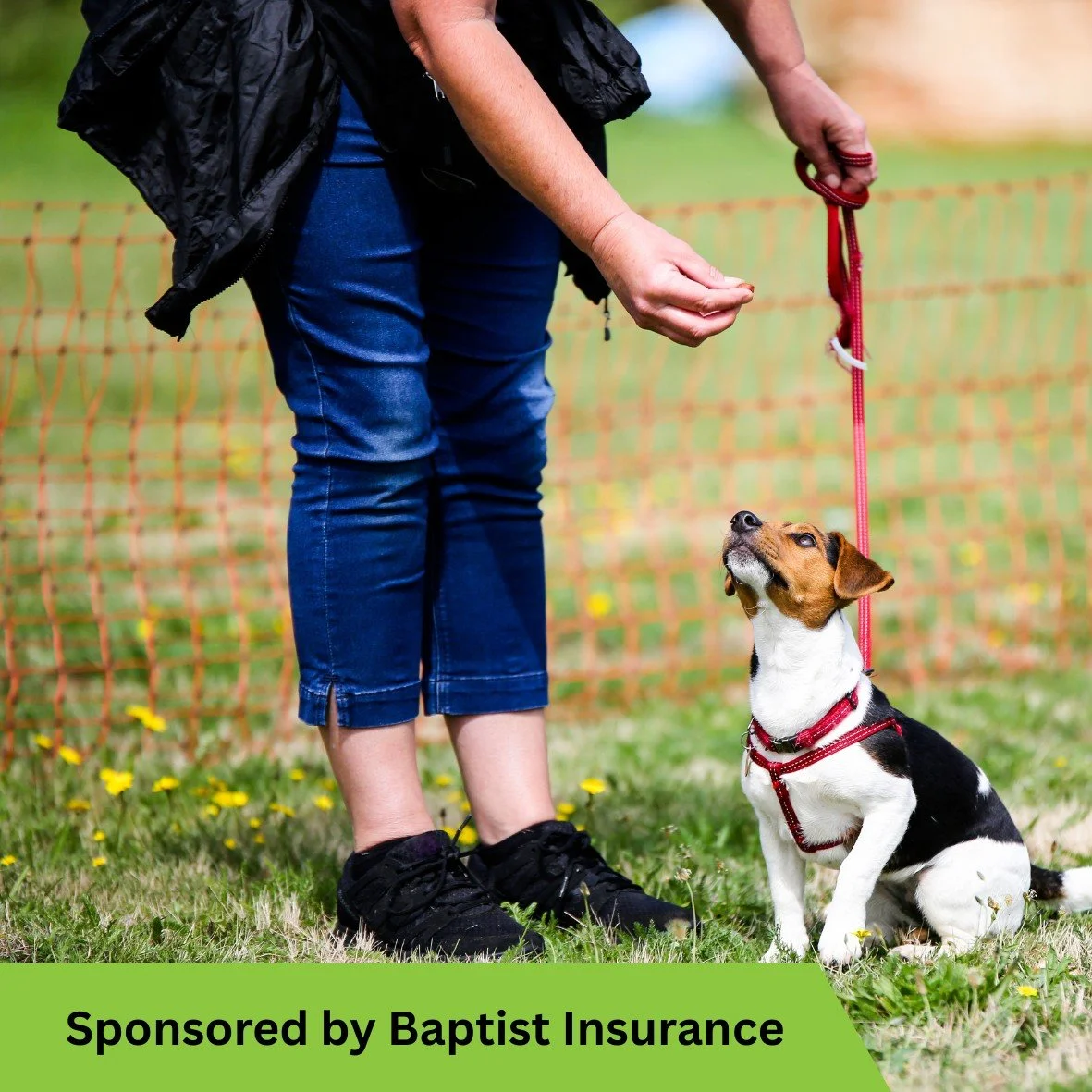 Baptist Insurance Company E-news - June 2026