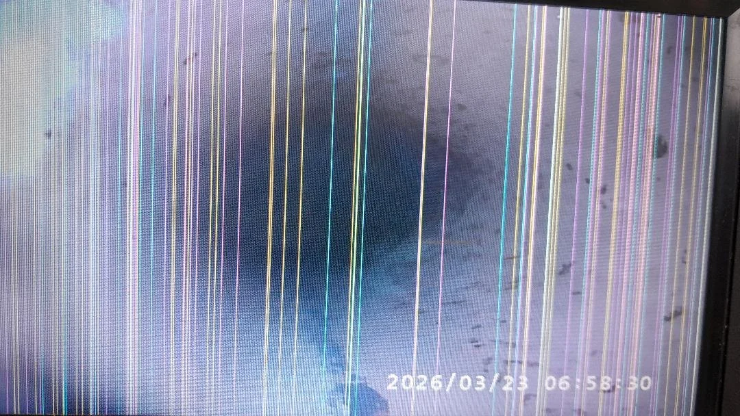 Drain repairs have been completed to the system downstream of the blocked toilet.