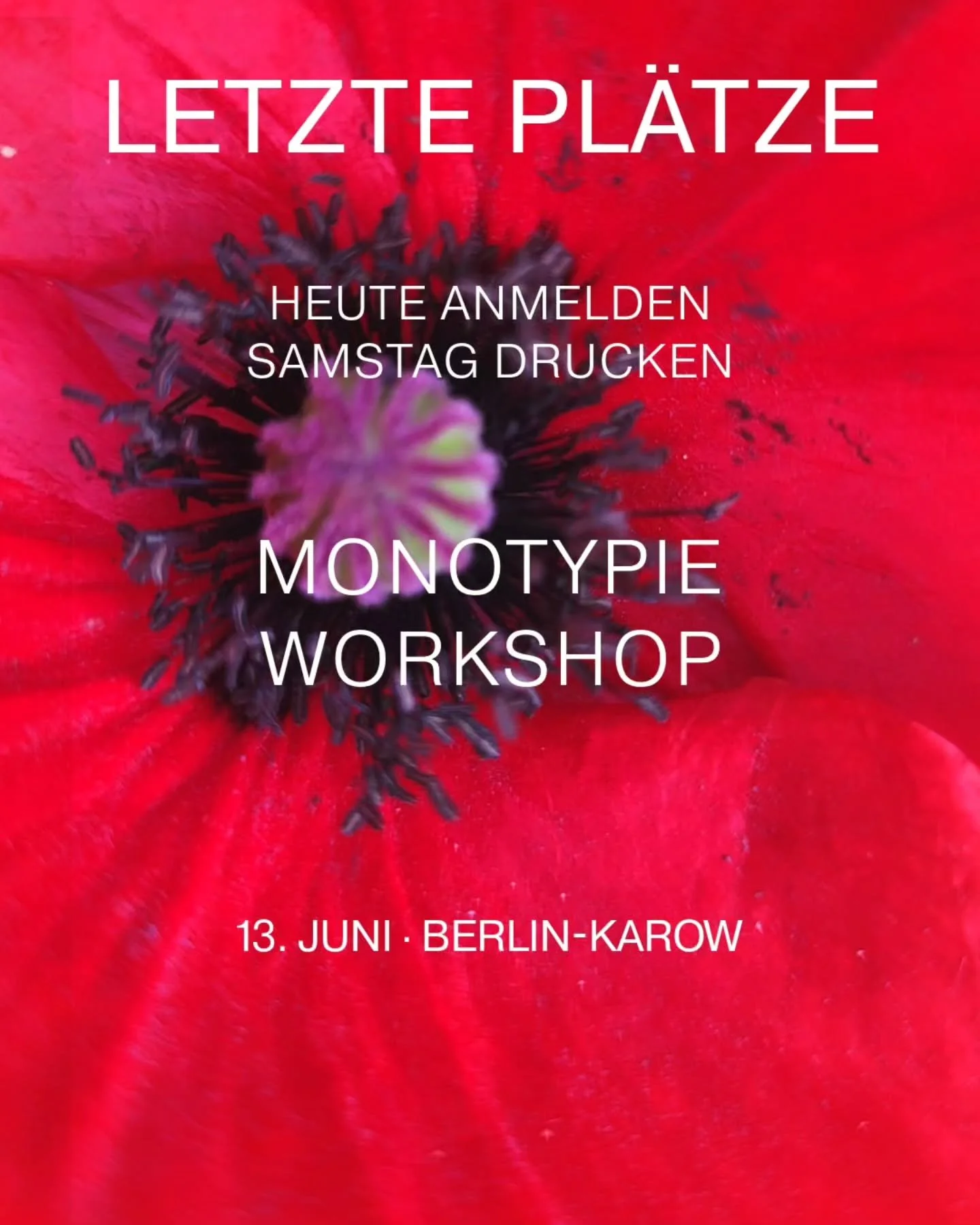 Berlin.
Stepping away from faces for a moment.

MONOTYPIE WORKSHOP

mit Christin Noel und Inna Stein
13. Juni &middot; Berlin-Karow Uhrzeit 14 - 17.30 Uhr

Taucht ein in die vielseitige Welt der Monotypie.

Gemeinsam mit Illustratorin Inna Stein und 
