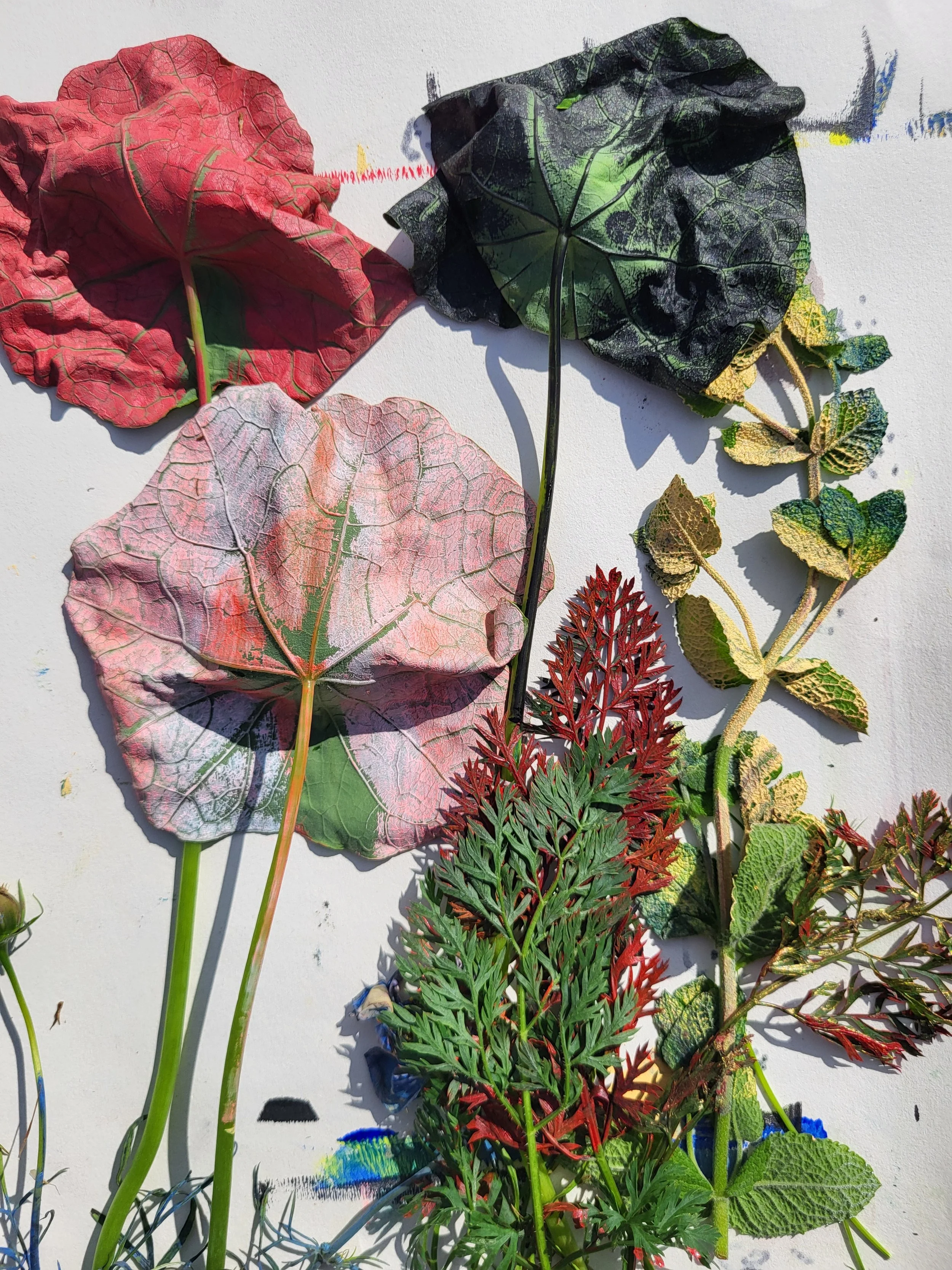 Garden Prints