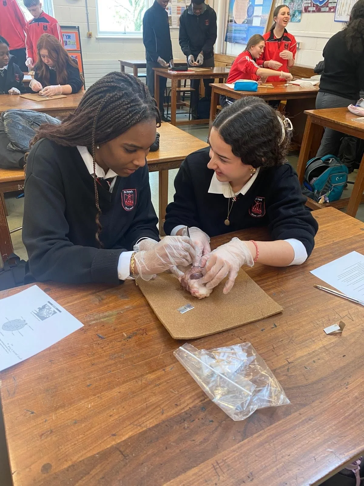 Mr. Hurley&rsquo;s Fifth Year Biology students recently finished learning about the heart and circulatory system by completing a dissection of a sheep&rsquo;s heart 🫀 Some fantastic dissection and labelling skills on display! Well done everyone! 👏 