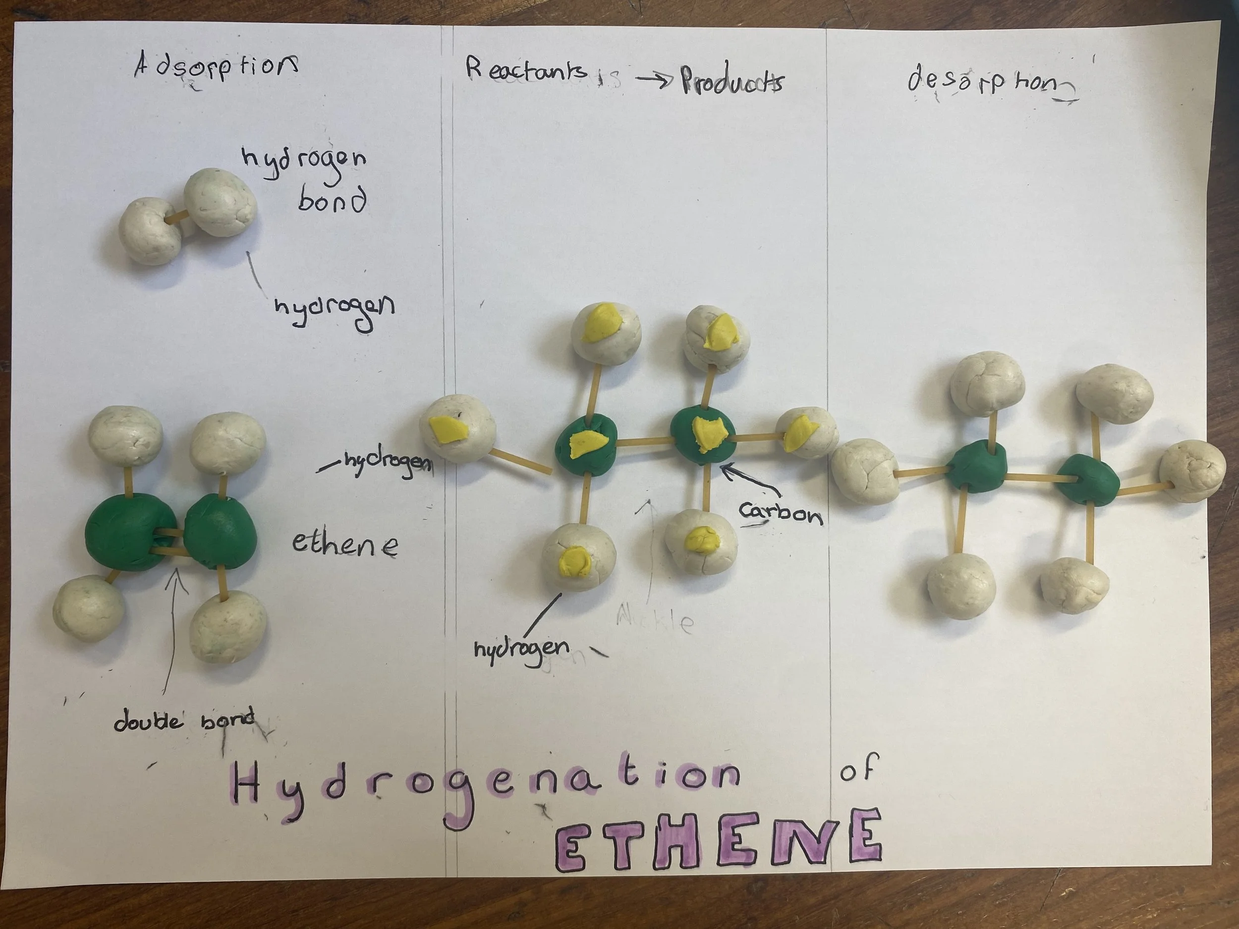 5th Year Chemistry 1.jpg