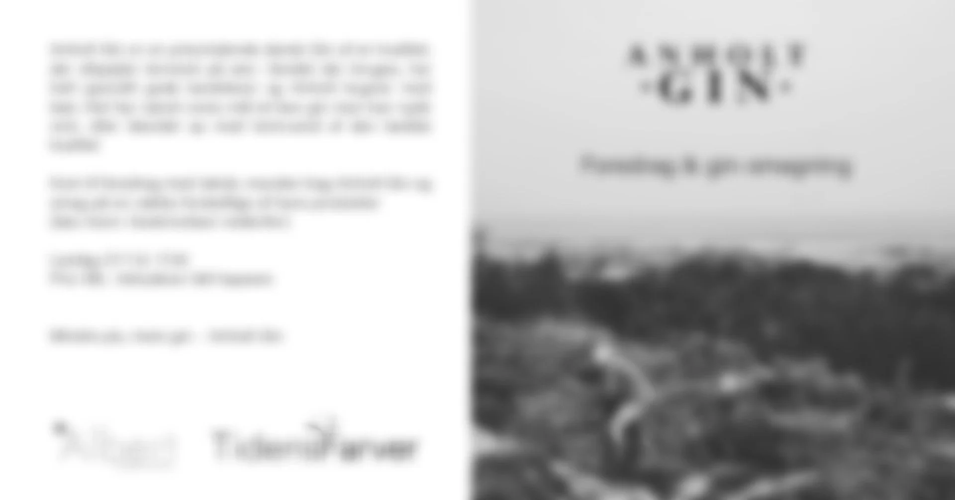 Anholt Gin: Foredrag & Smagning