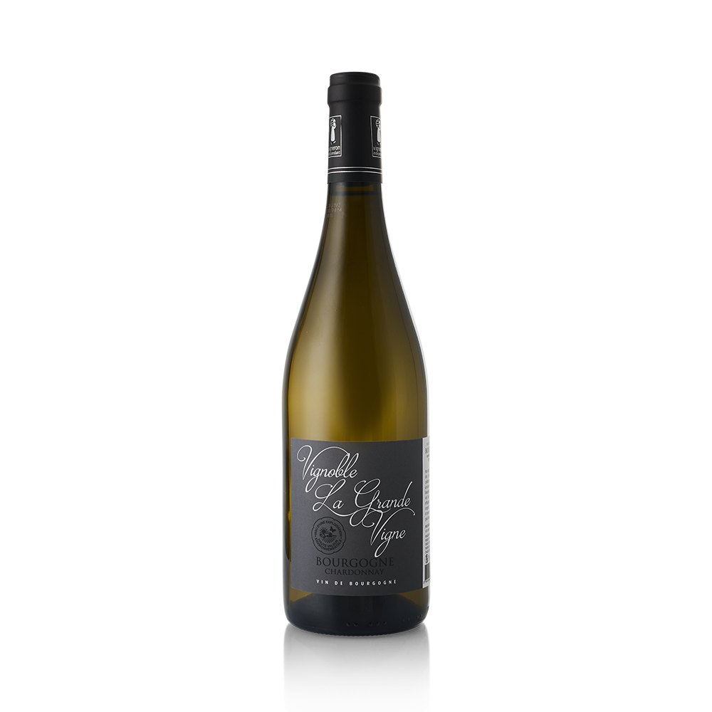 Vignoble-La-Grande-Vigne-Bourgogne-Chardonnay-2024.png