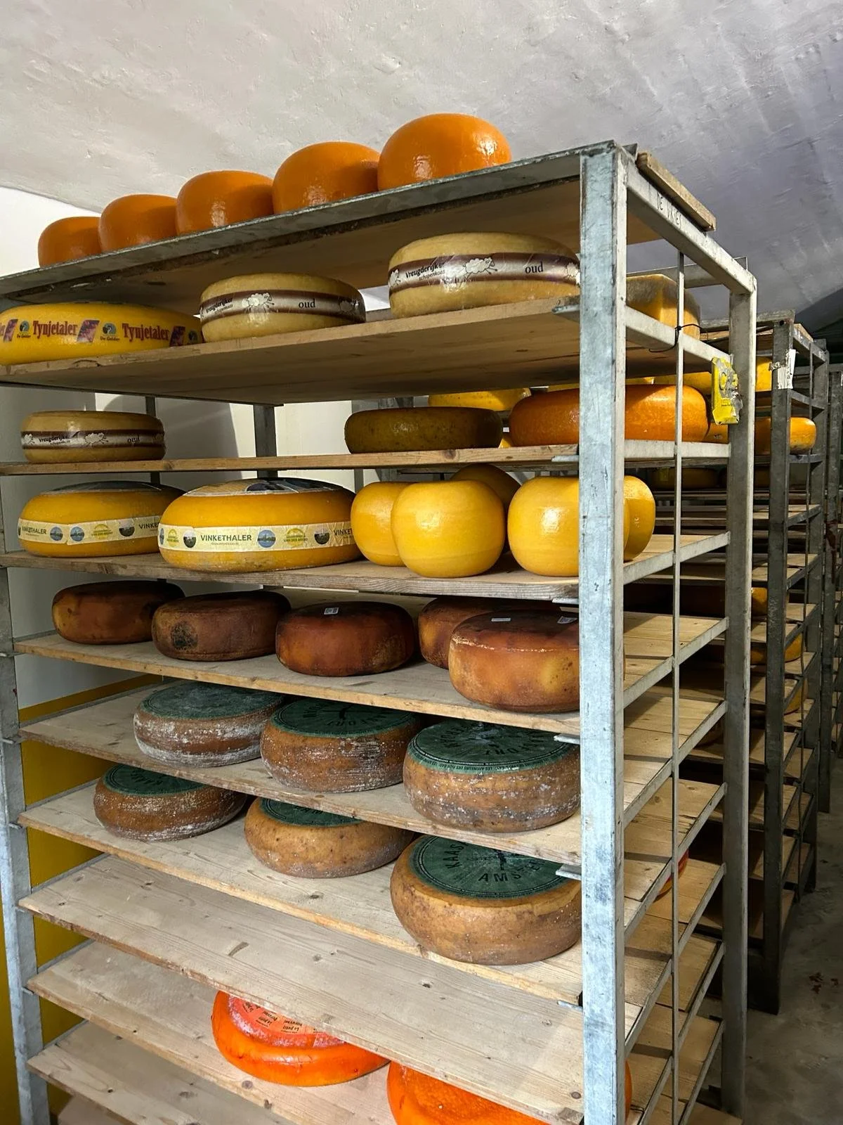 WhatsApp Image 2024-04-01 at 11.40.48.jpeg