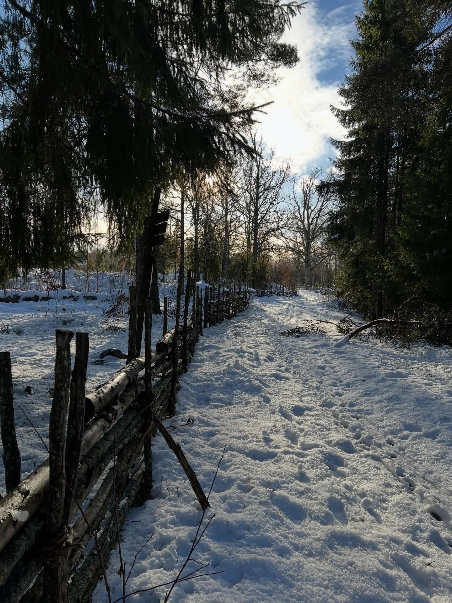 Att byta l&auml;ger - En nomads dagbok

Nu &auml;r v&auml;rlden runtomkring n&auml;stan helt djupfryst. I tre vintrar har jag m&ouml;tt detta magiska skifte mellan h&ouml;st och vinter fr&aring;n marken, i utomhuset, n&auml;ra elden. Har vaknat p&ari