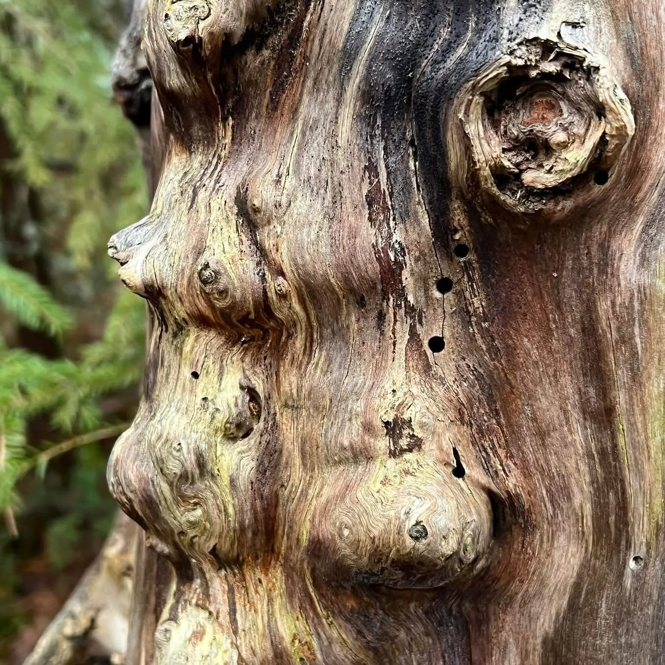 Tjugo procent p&aring; kombinerad Human Design, Gene Key och energil&auml;snings session eller workshop.

Det &auml;r s&aring; sjukt sp&auml;nnande att m&ouml;ta n&aring;gon i ett samtal eller en workshop utifr&aring;n personens Human Design- och Gen