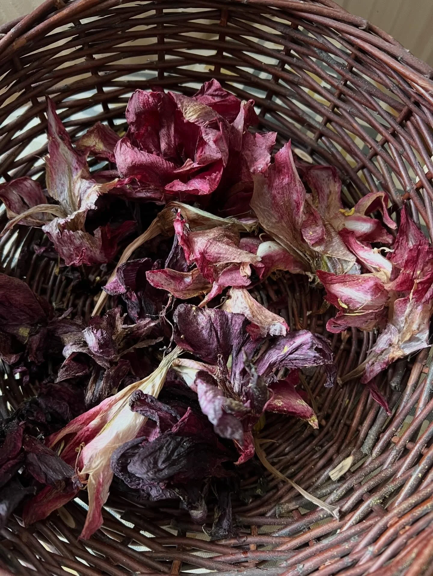 Naturens visdom - Sk&ouml;nhet &auml;r livsviktigt. 

F&ouml;r m&aring;nga &aring;r sen ber&auml;ttade n&aring;gon att inom den gamla Vediska traditionen fick kvinnor i uppgift i krigstider att p&aring; olika s&auml;tt gestalta sk&ouml;nhet i templen