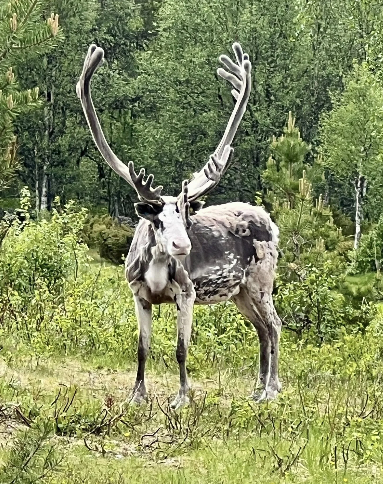 Landar och tar in