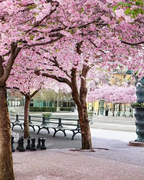Sessioner p&aring; luffen till luffarpris 

Den 30/4 Stockholm. Valborgshelgen; Uddevalla, V&auml;nersborg och Svensh&ouml;gen

Nu &auml;r jag p&aring; luffen i v&aring;rt vackra land och kommer ge sessioner efter v&auml;gen till luffarpriset 1200:-/