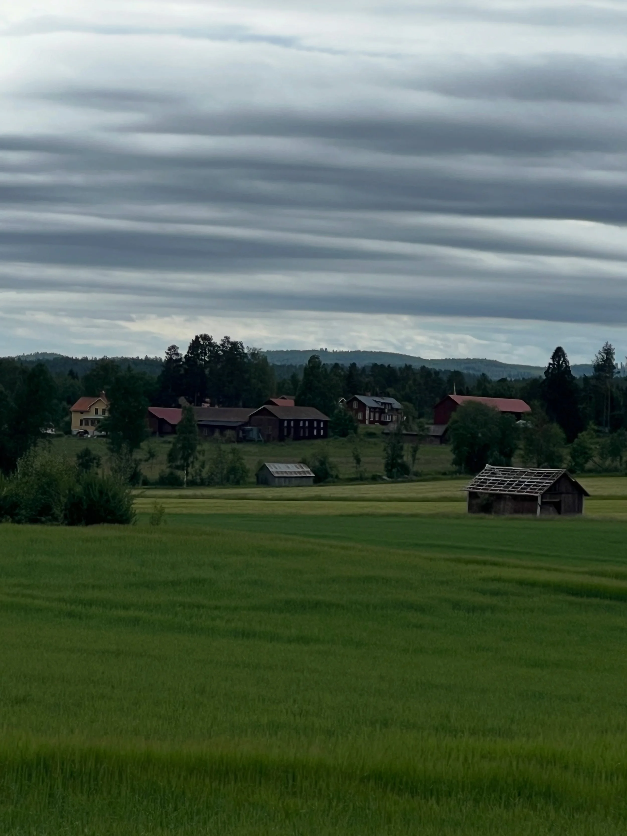 En nomads dagbok - F&ouml;rsta skogen till rekning

Sedan n&aring;gra dagar &auml;r jag och Raven Heart i Delsbo, H&auml;lsingland - Ren magi!
 
Strax efter krocken f&ouml;rra &aring;ret p&aring; v&auml;gen till Idre, n&auml;r det blev tydligt att ja
