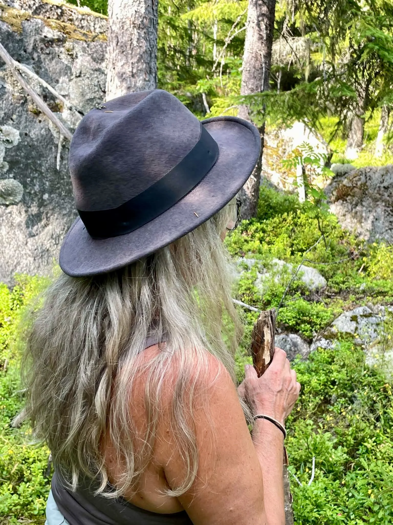 Naturens visdom - Vildkraften
