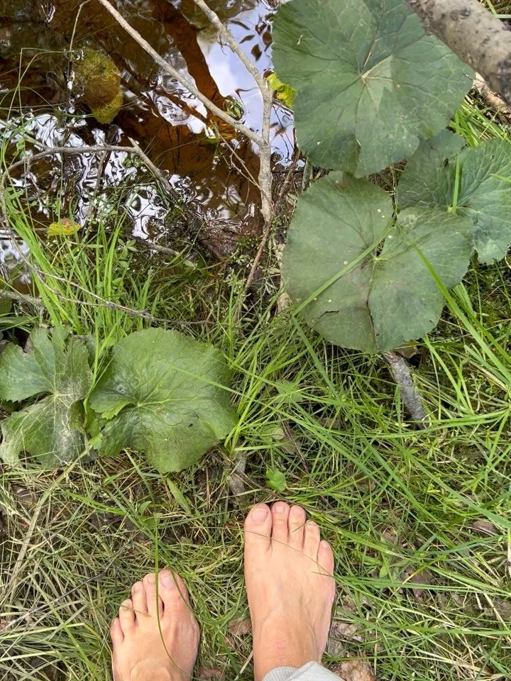 Naturens visdom - Vildkraften

Ibland undrar jag vad det handlar om egentligen, den d&auml;r djupa, n&auml;stan tv&aring;ngsm&auml;ssiga kontakten med naturen. Att liksom vara helt uppslukad och f&ouml;rlorad. Som en galet berusande k&auml;rleksrelat