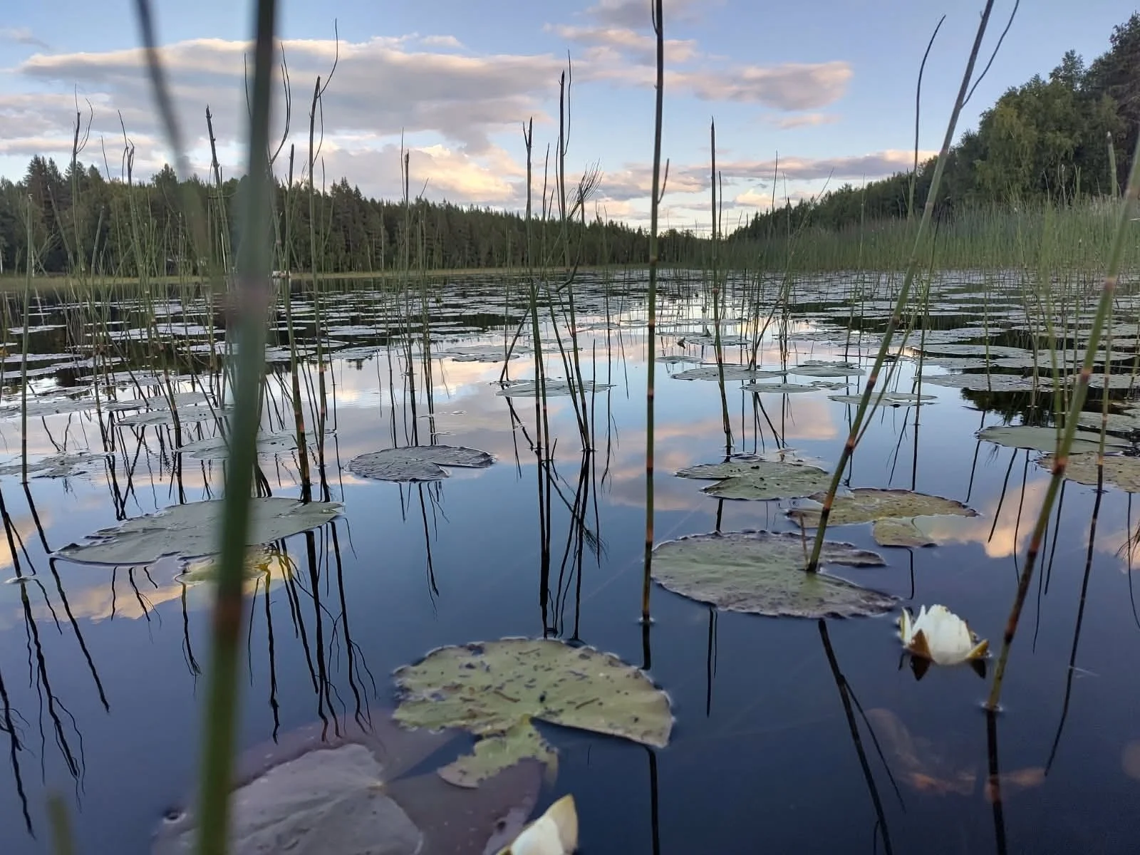 Snart påväg igen - Jämtland nästa