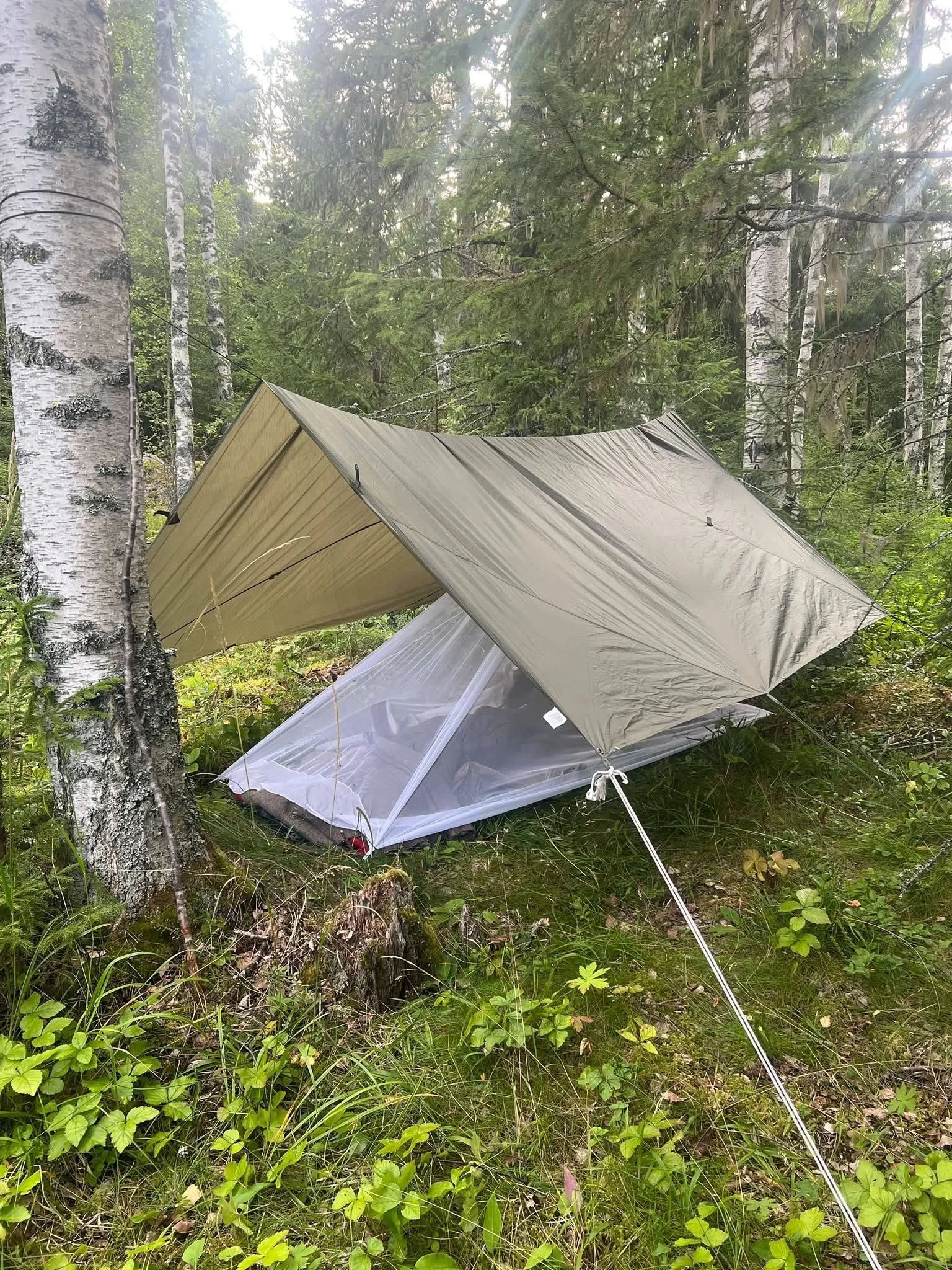 Jämtland - En resa i djupare klarhet om drömmen jag bär