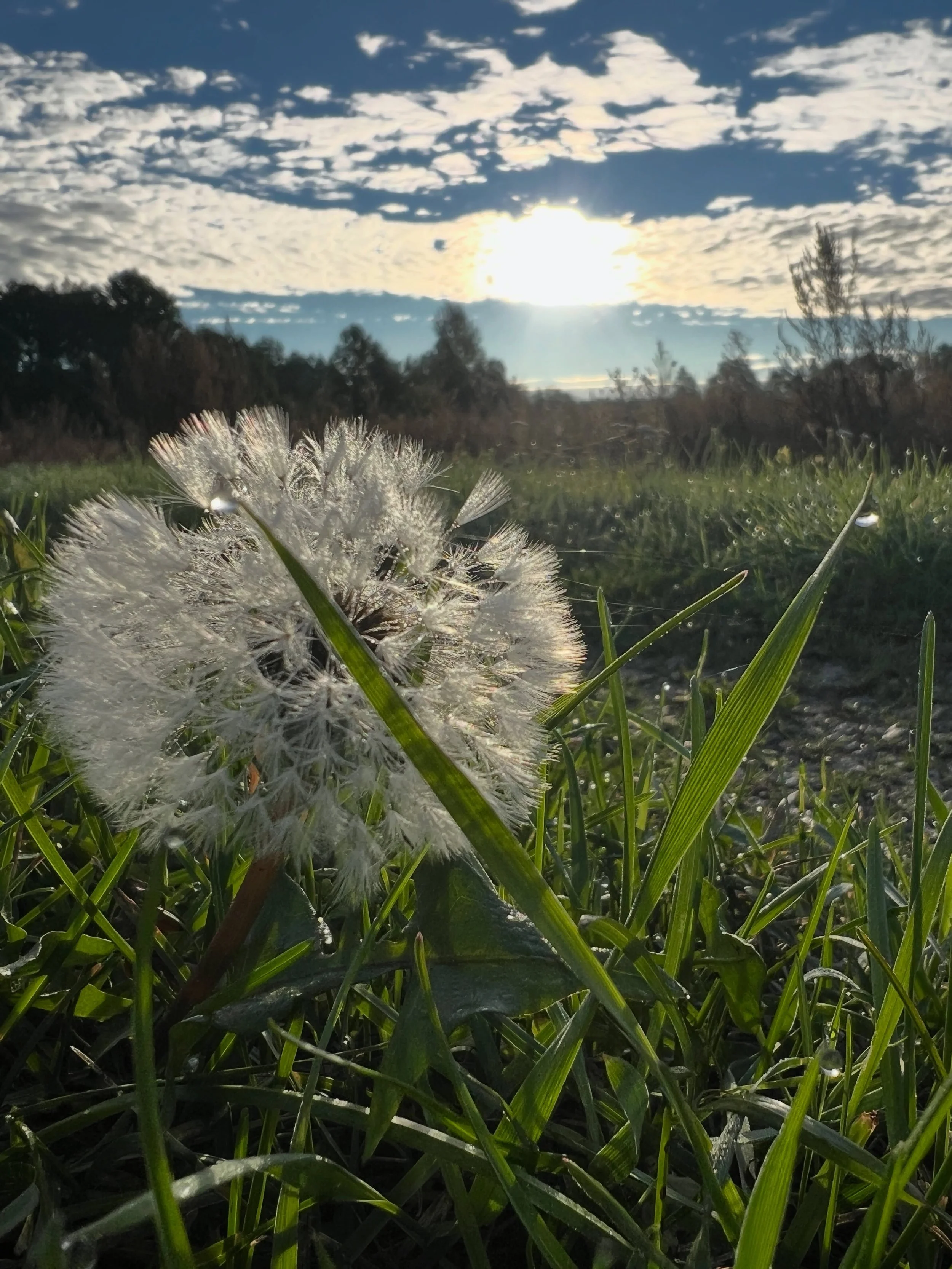 B&auml;sta investeringen ever, n&auml;r v&auml;rlden snurrar som crazy

De senaste dagarna har jag suttit med f&ouml;rberedelserna till en Intuitiv Human Design &amp; Gene Key l&auml;sning. Du anar inte hur sp&auml;nnande det &auml;r. I det h&auml;r 
