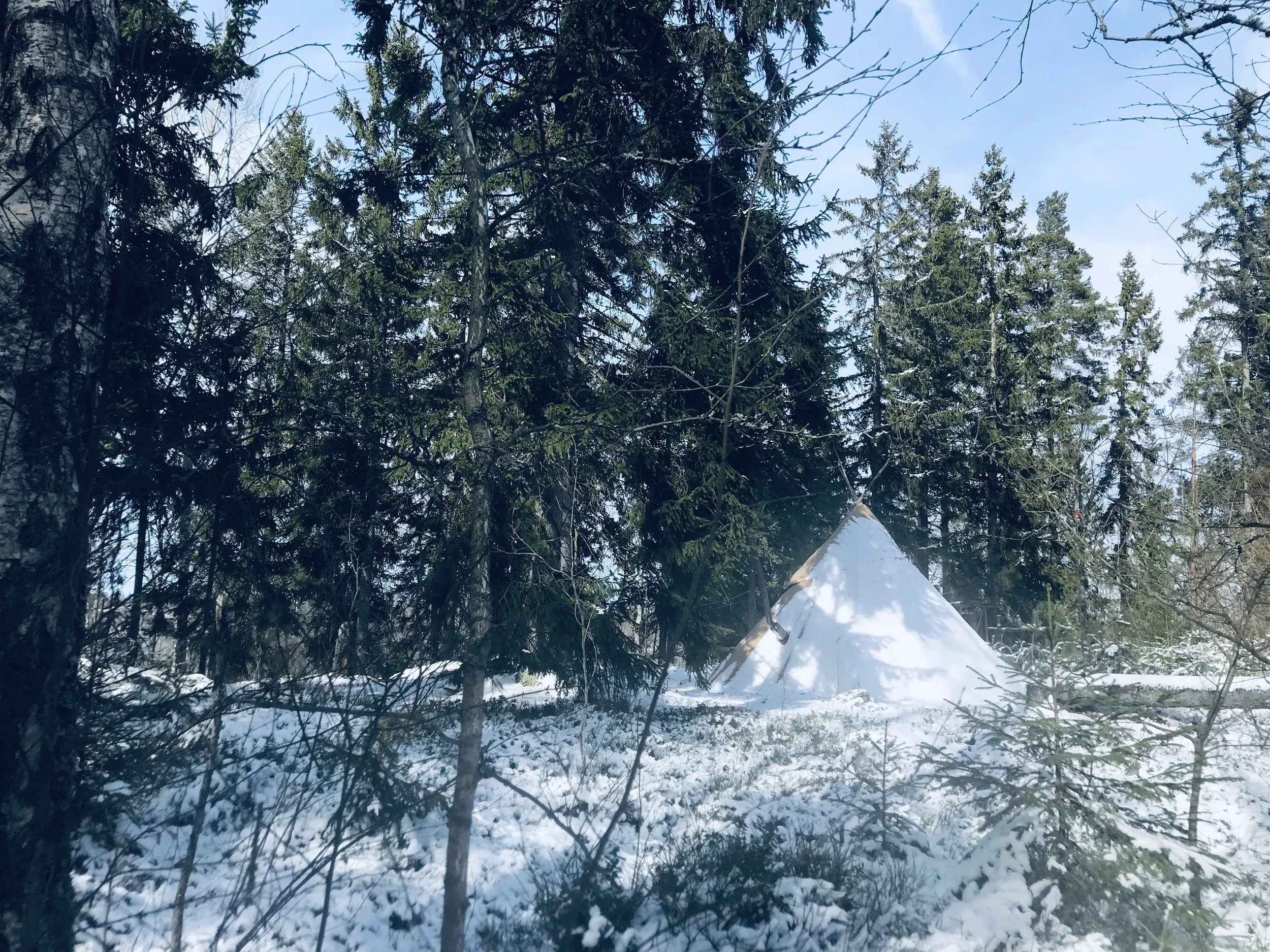 IMG_8740.jpeg