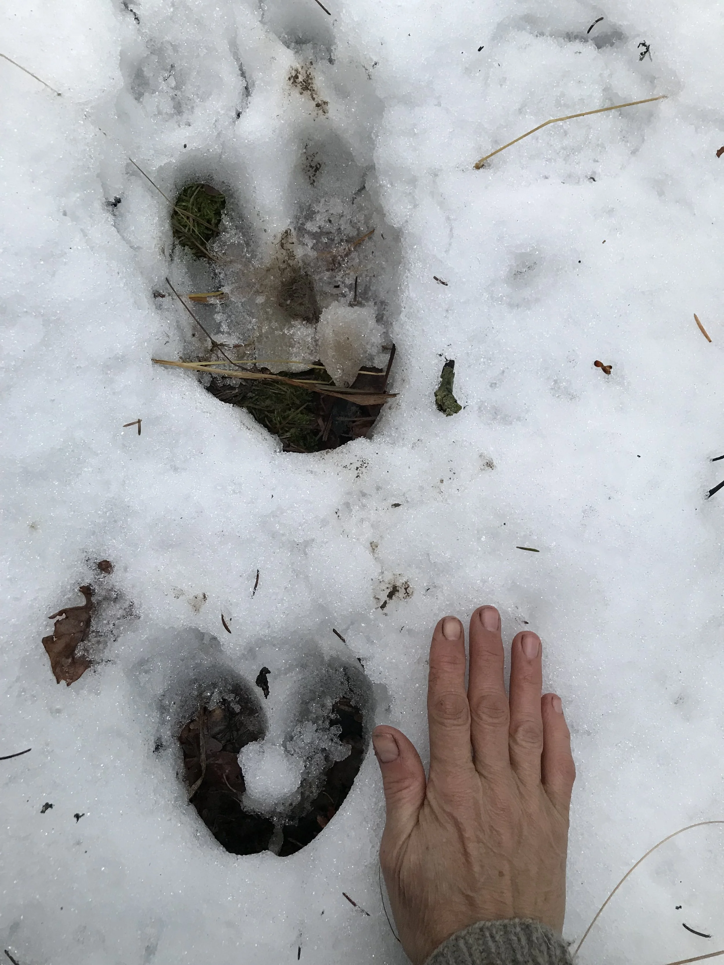 IMG_4406.jpeg