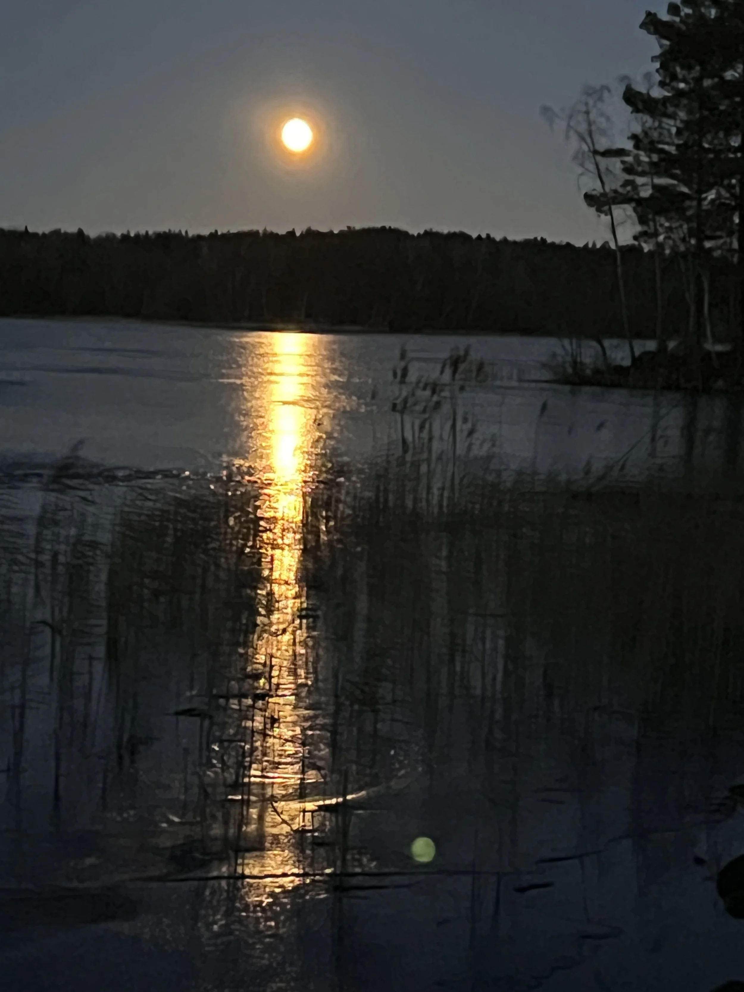 IMG_1540.jpeg
