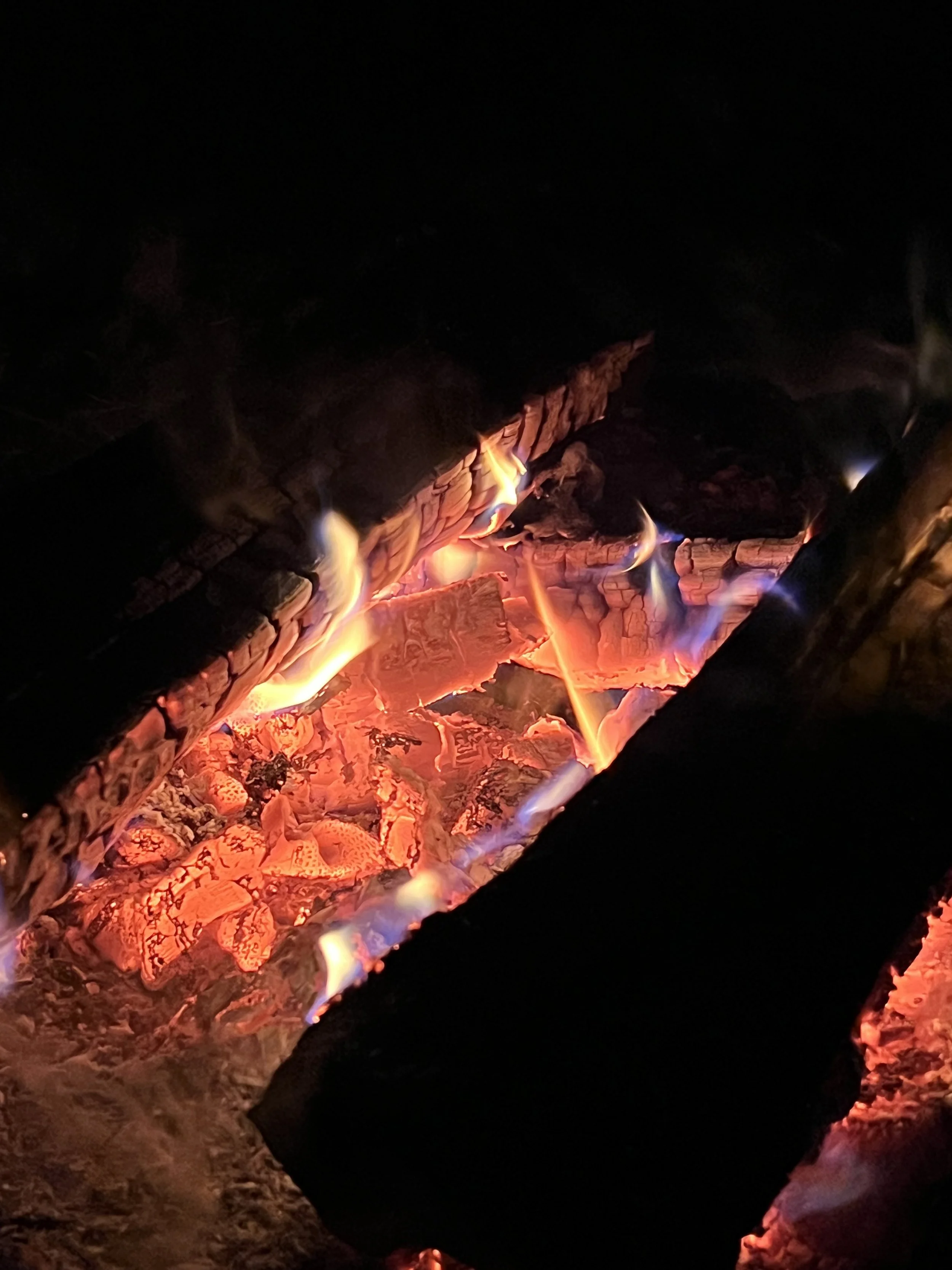 IMG_0920.jpeg