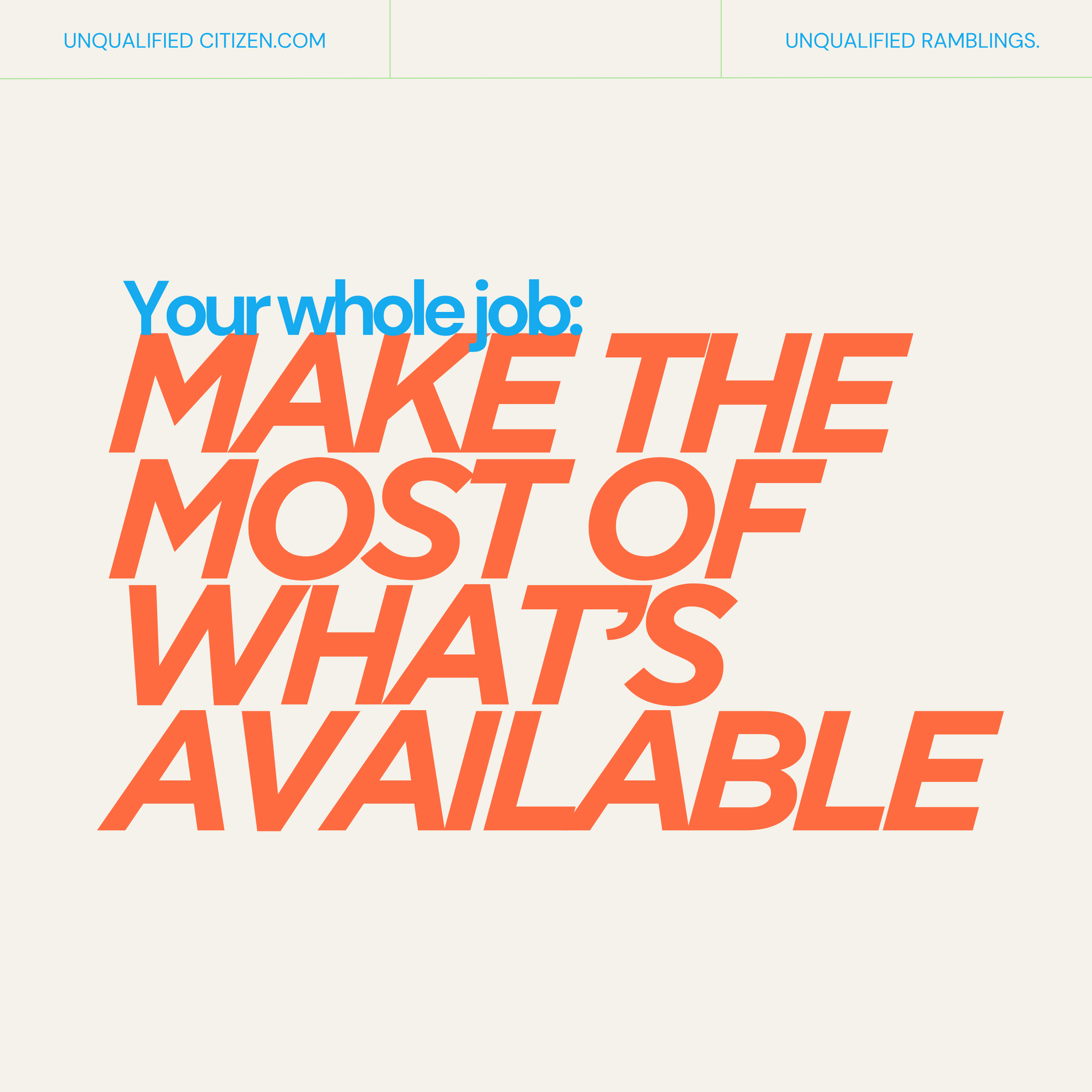 MAKE THE MOST OF WHAT YOU HAVE