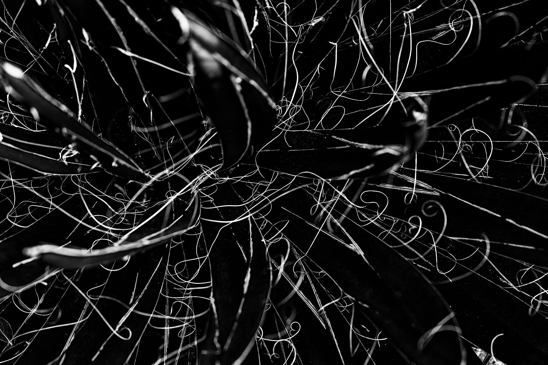 Abstract Photography