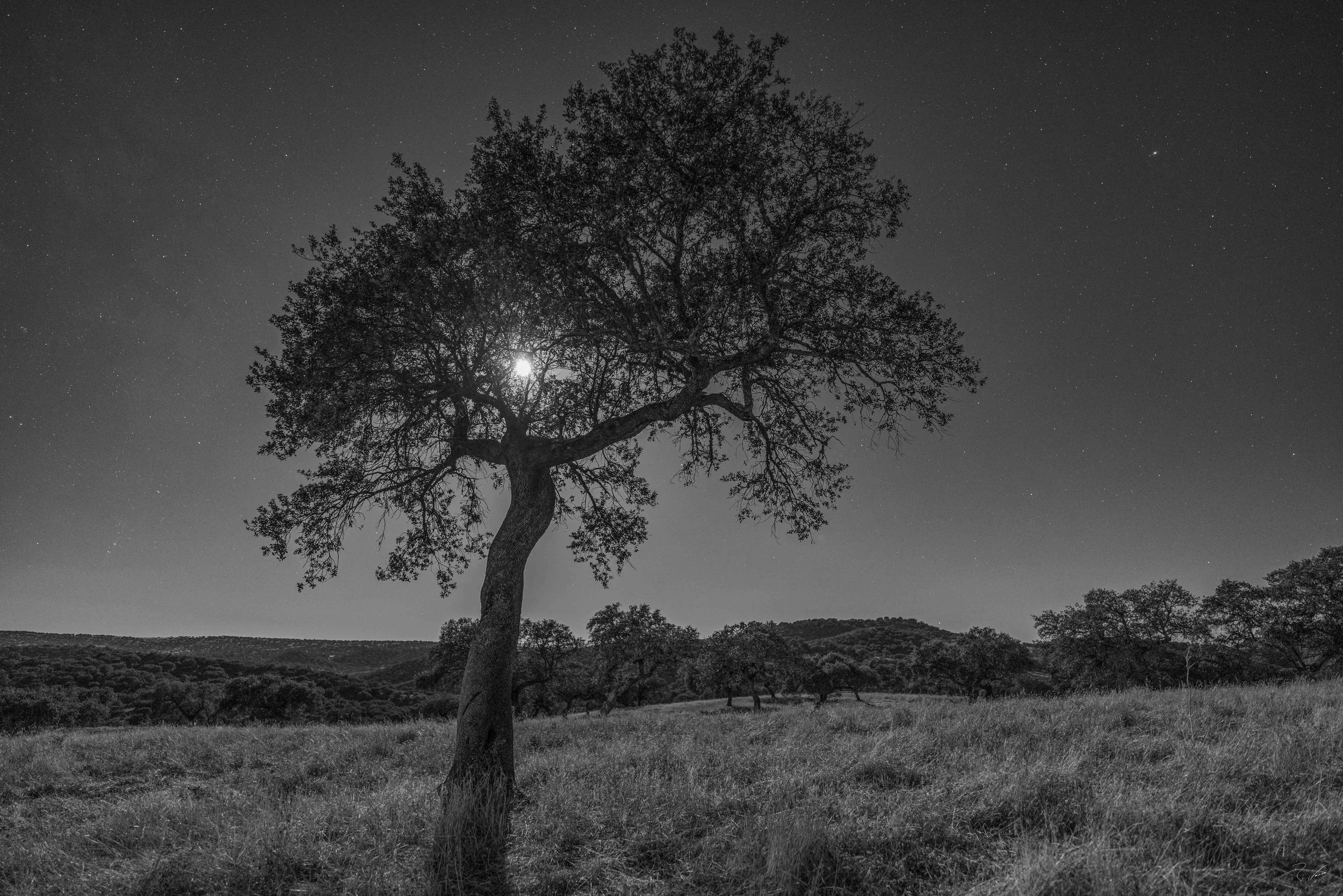 Basking in the Moonlight, Noudar, Portugal