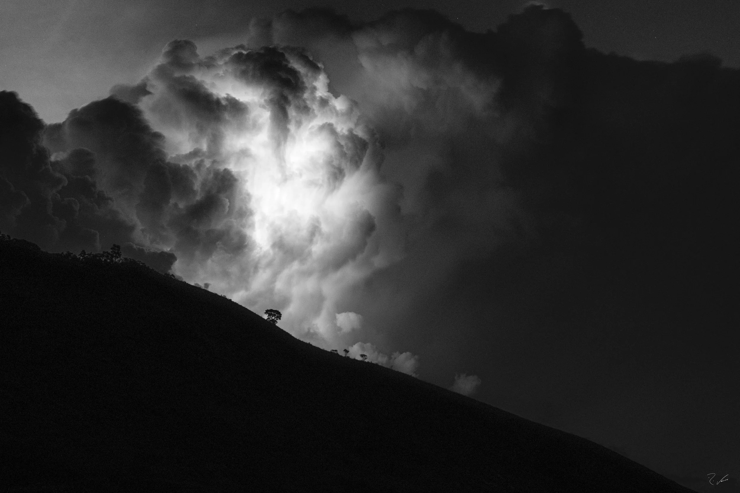 Lone Tree and Lightning
