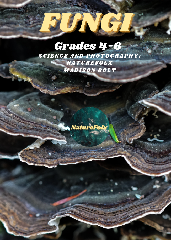 Fungus Guide WestMont School 2023